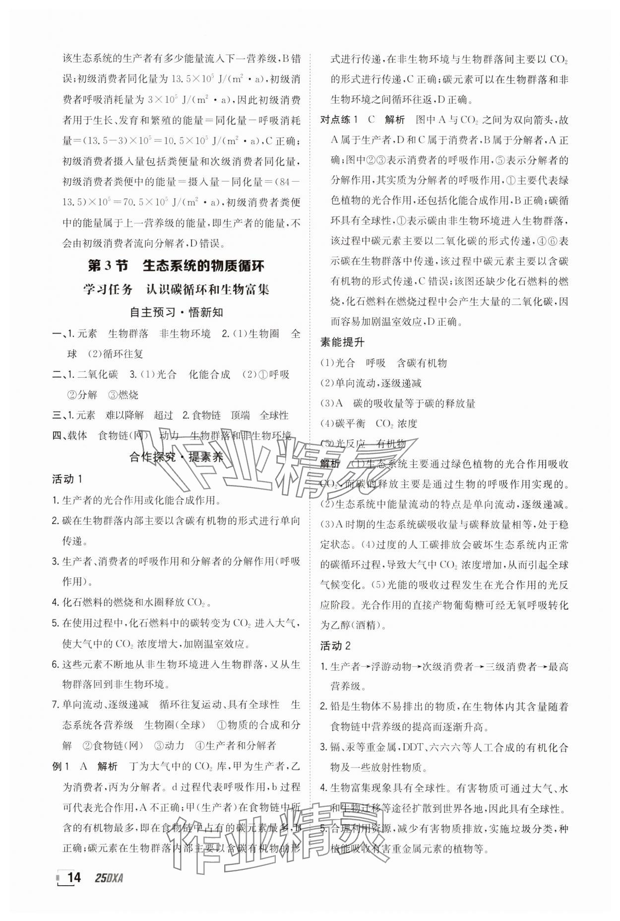 2025年金太陽導學案高中生物選擇性必修2人教版 參考答案第14頁