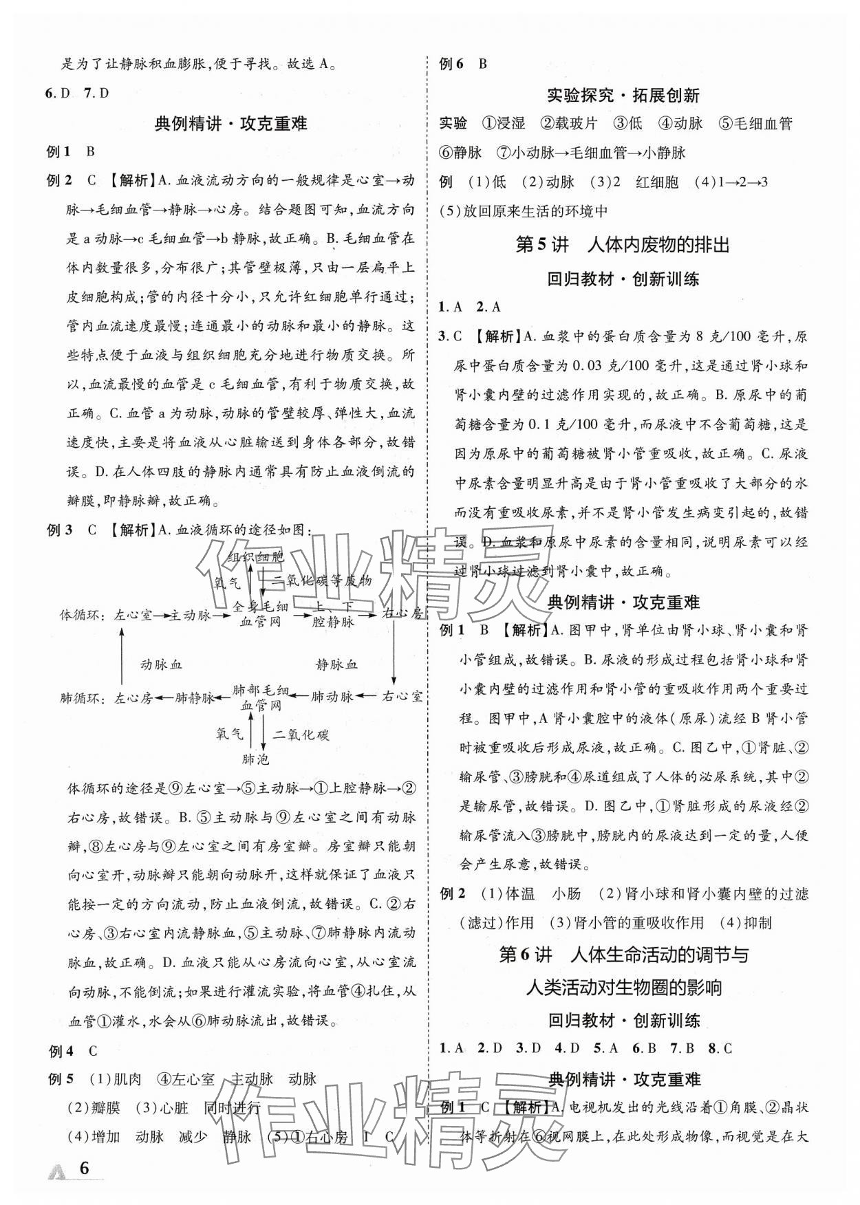 2024年卓文书业加速度生物中考 参考答案第5页