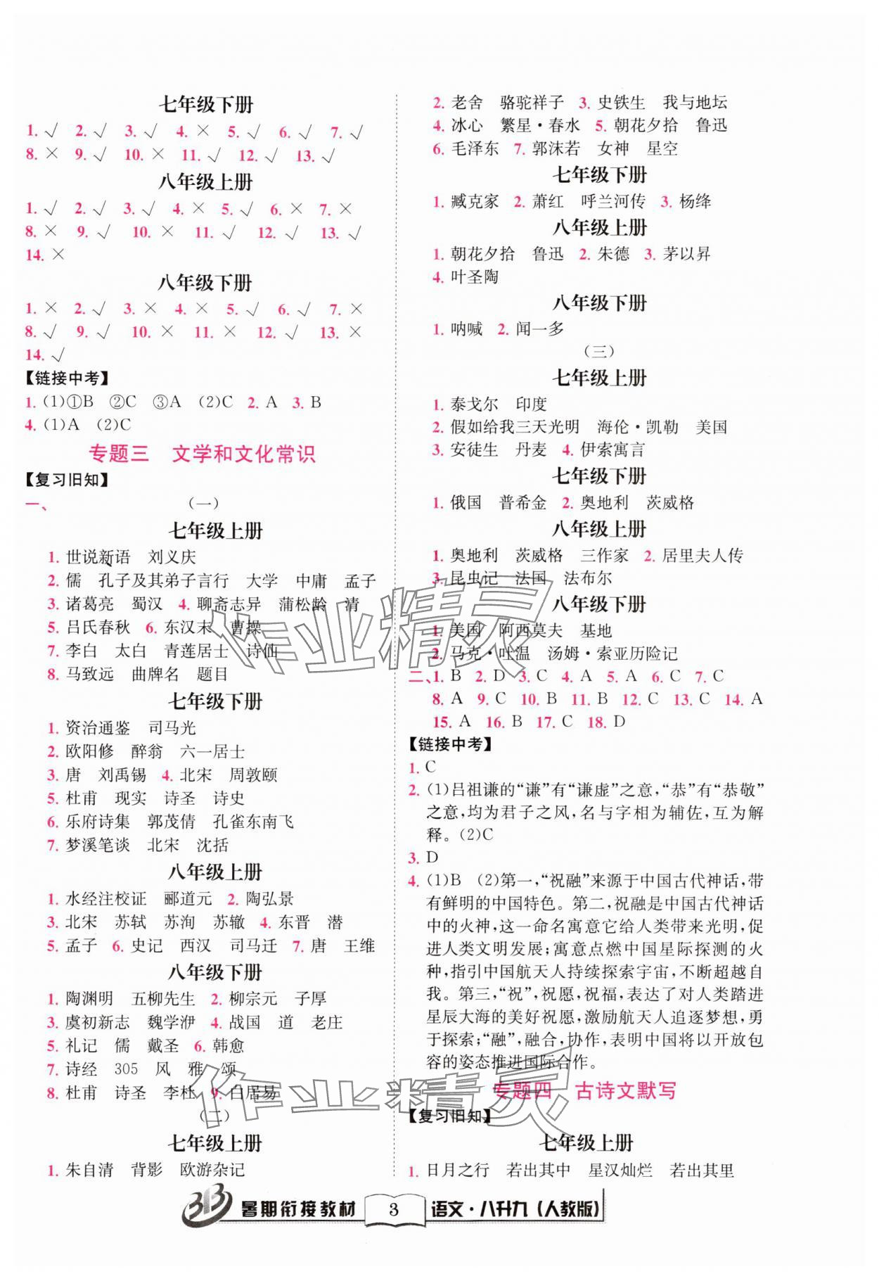 2024年暑期銜接教材八升九語文人教版 第3頁