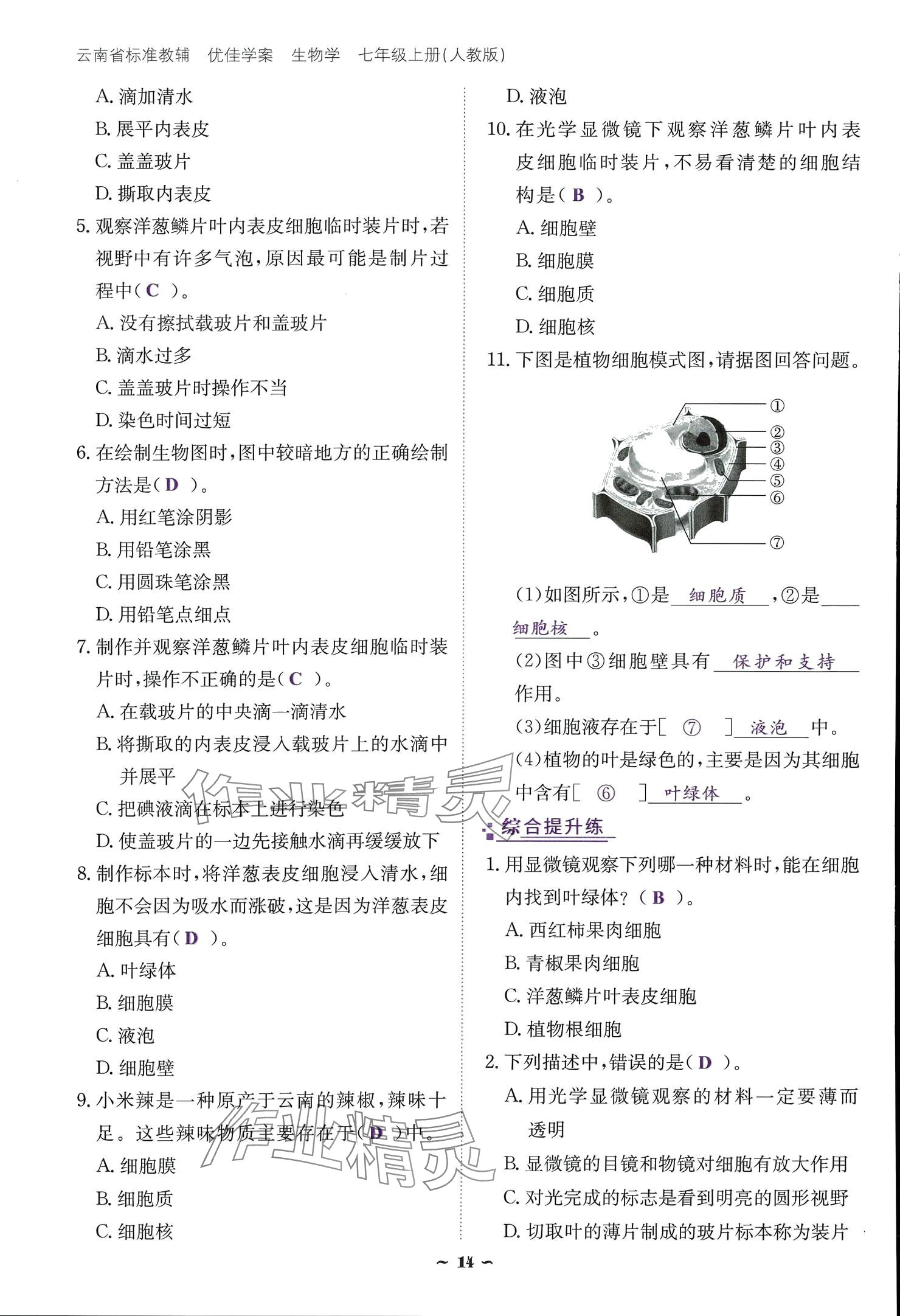 2024云南省標(biāo)準(zhǔn)教輔優(yōu)佳學(xué)案七年級(jí)生物上冊(cè) 參考答案第14頁(yè)