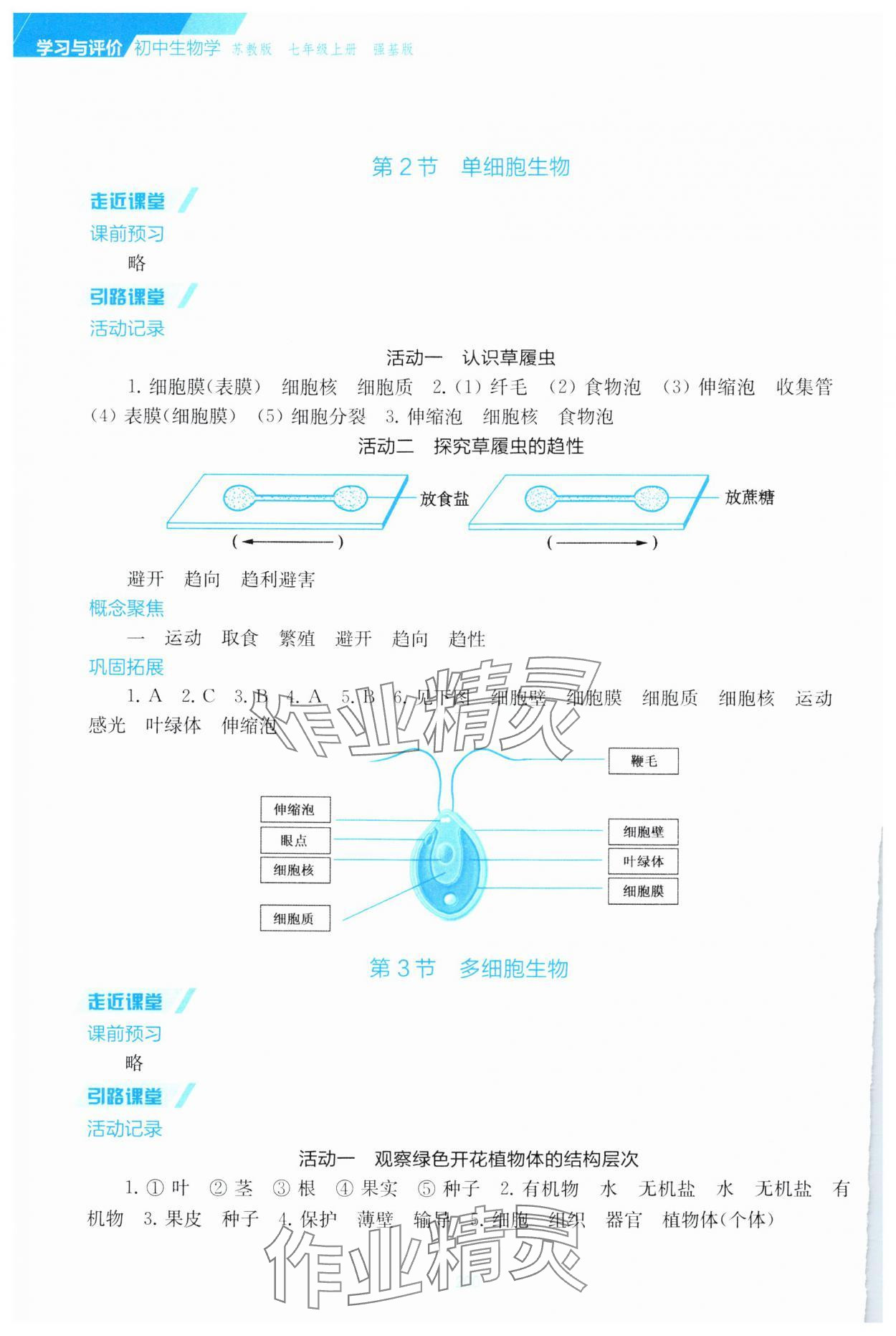 2024年学习与评价江苏凤凰教育出版社七年级生物上册苏教版云南专版 参考答案第7页