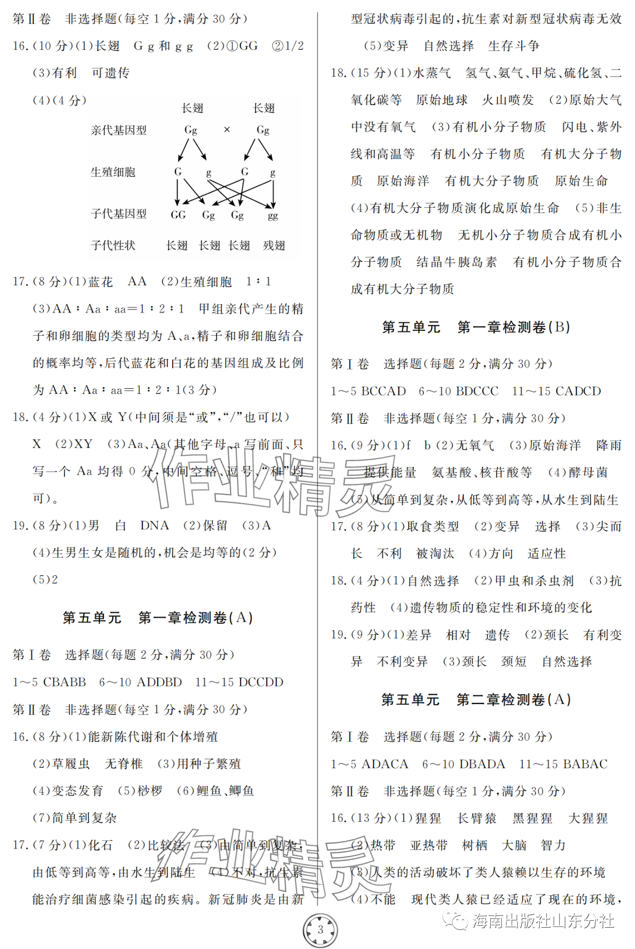 2023年同步練習(xí)冊(cè)分層檢測(cè)卷八年級(jí)生物全一冊(cè)濟(jì)南版 參考答案第3頁(yè)