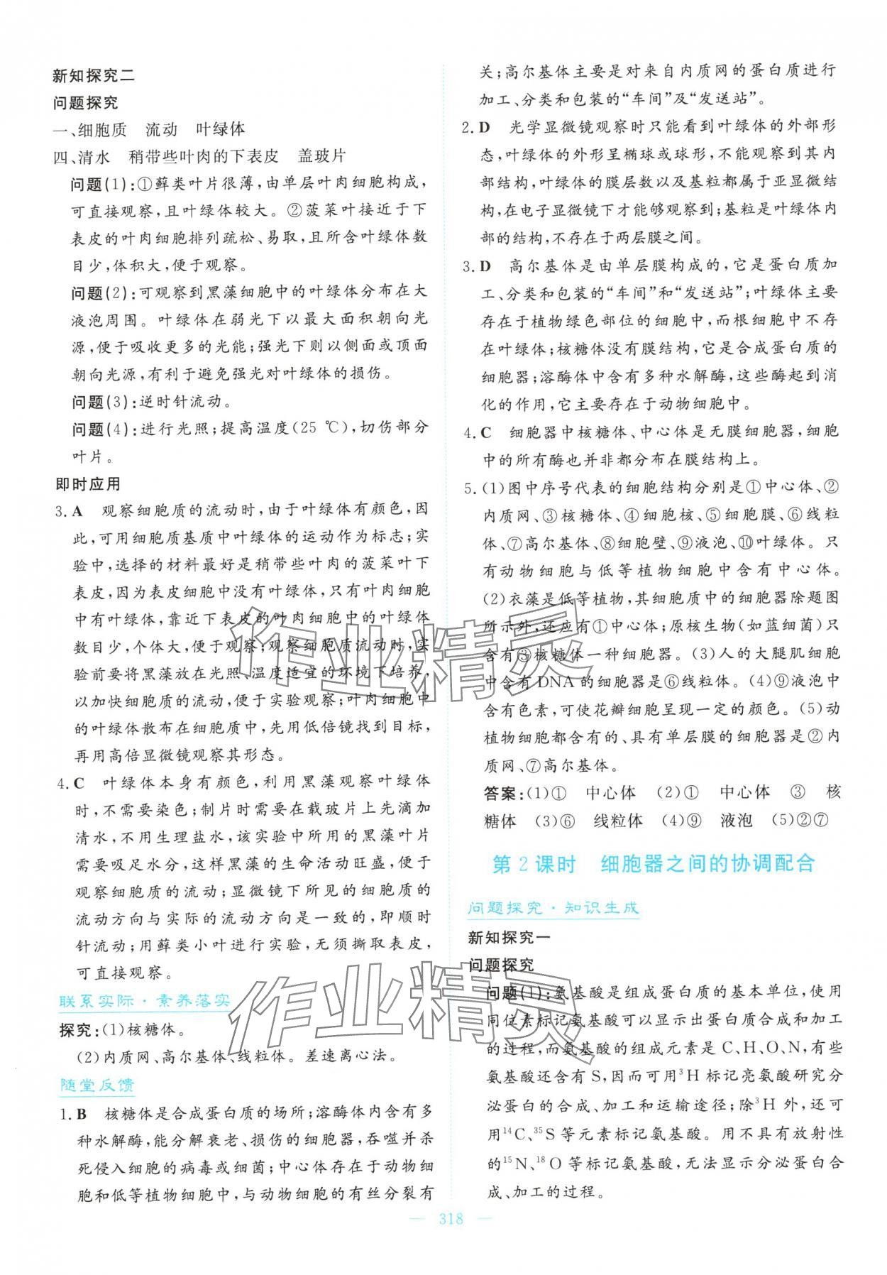 2025年高中同步测控全优设计优佳学案高中生物必修1人教版&nbsp;参考答案第16页