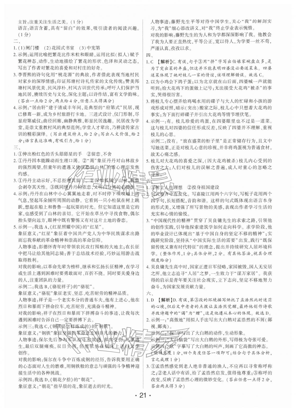 2026年语文总复习深圳专版&nbsp;第21页