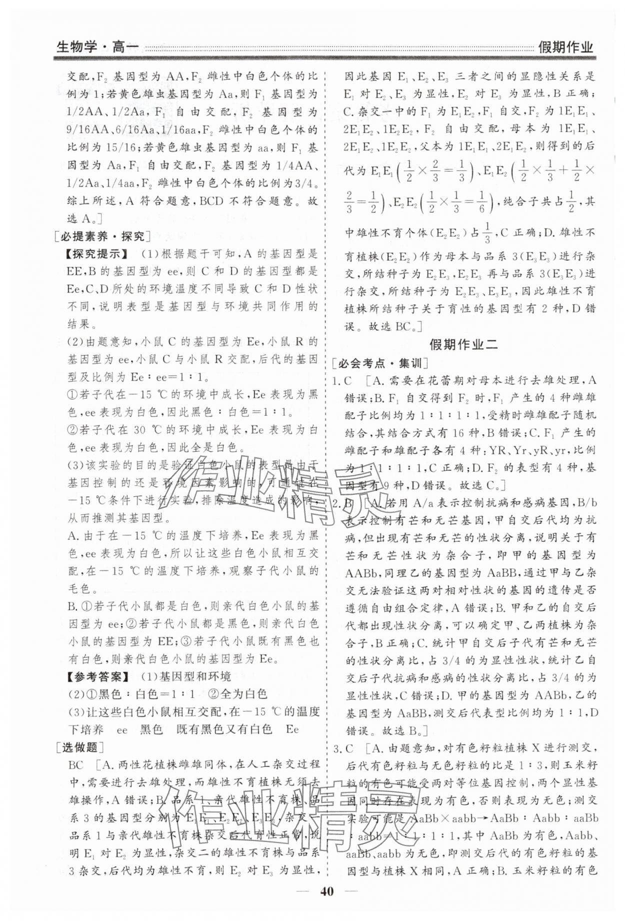 2025年衡水名师新作假期作业高一生物人教版 第2页