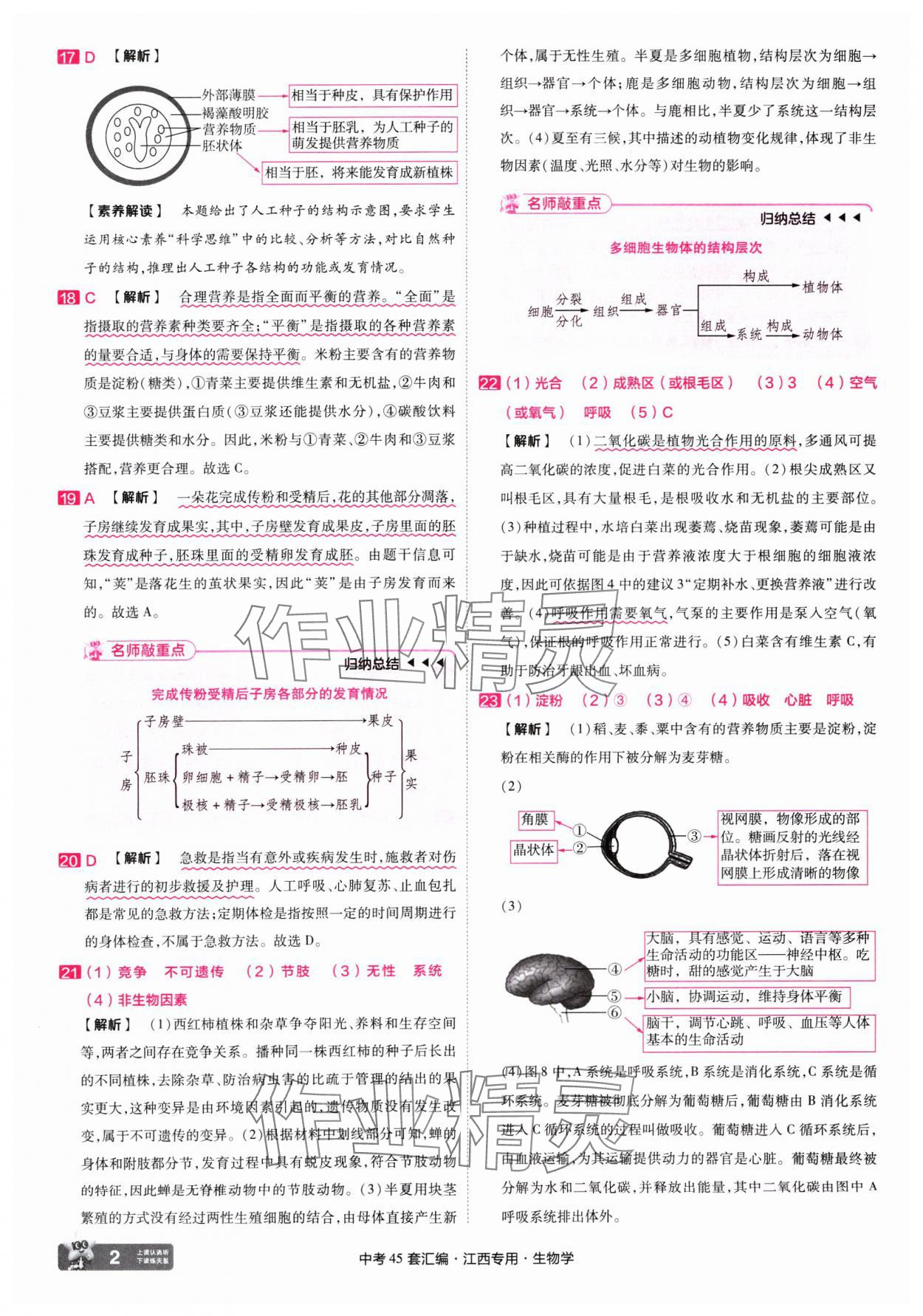 2025年金考卷45套匯編生物中考江西專版 第2頁(yè)