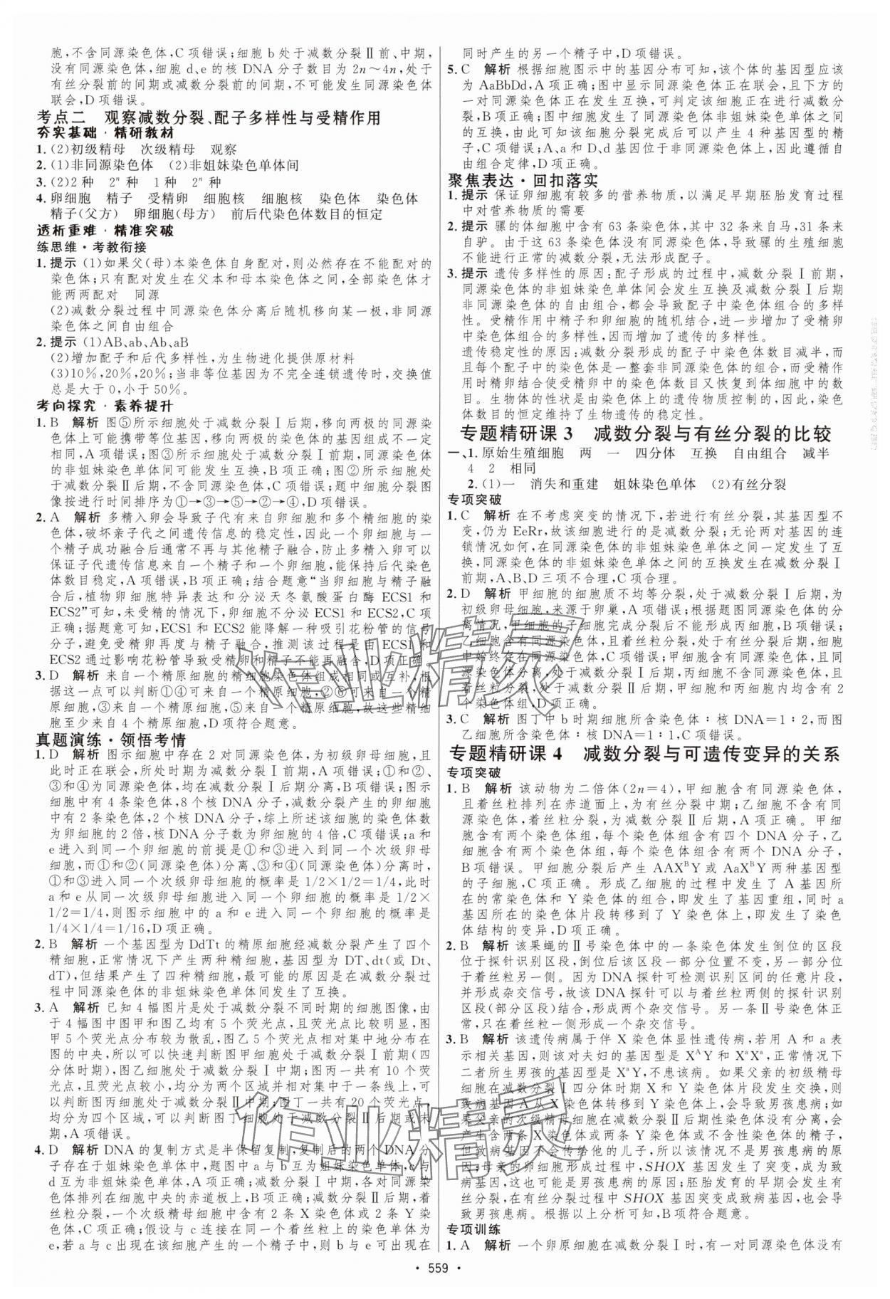 2025年高考總復(fù)習(xí)優(yōu)化設(shè)計(jì)高中生物人教版 第17頁