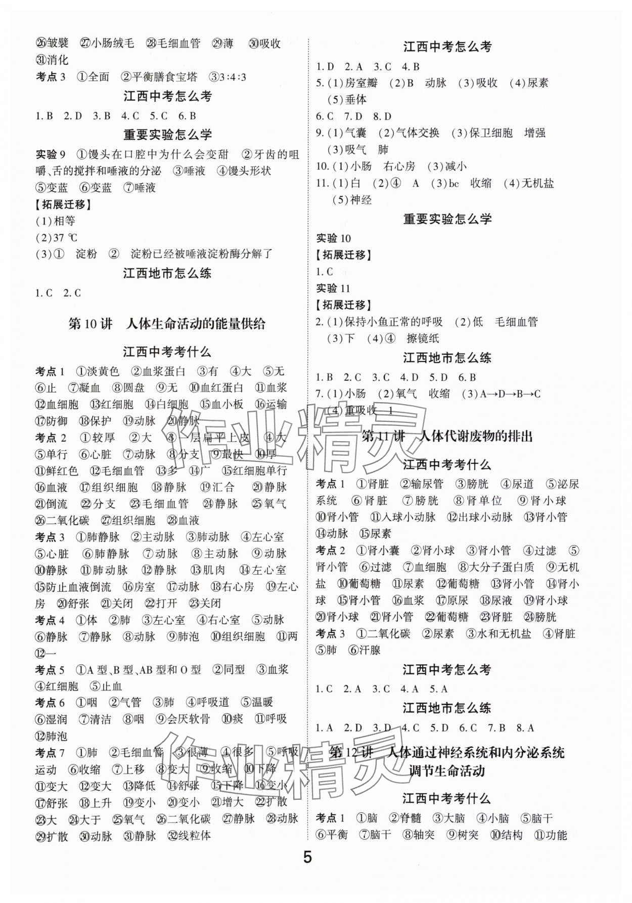 2024年領揚文化中考研究生物江西專版&nbsp;參考答案第4頁