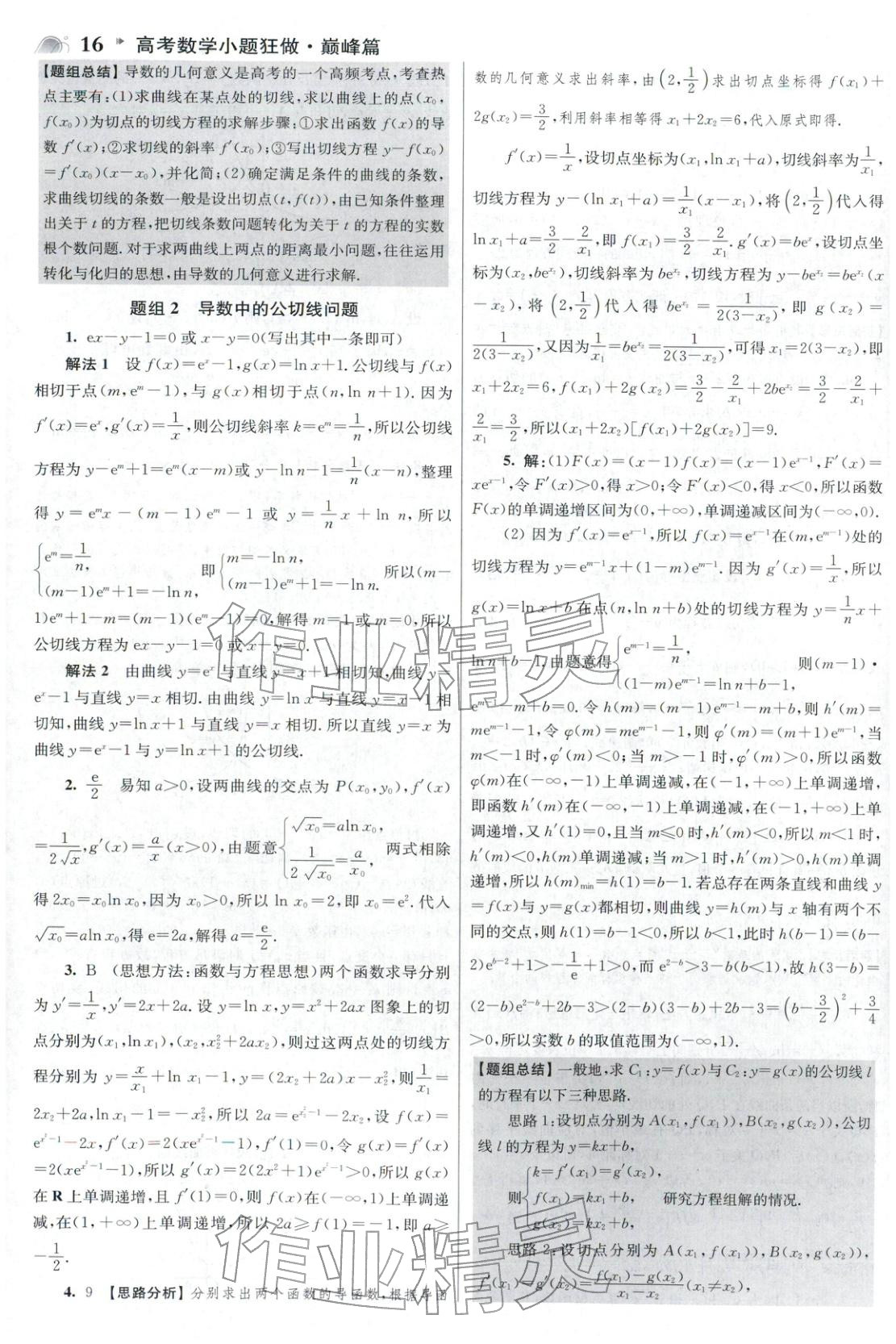 2025年高考数学小题狂做巅峰篇 参考答案第16页