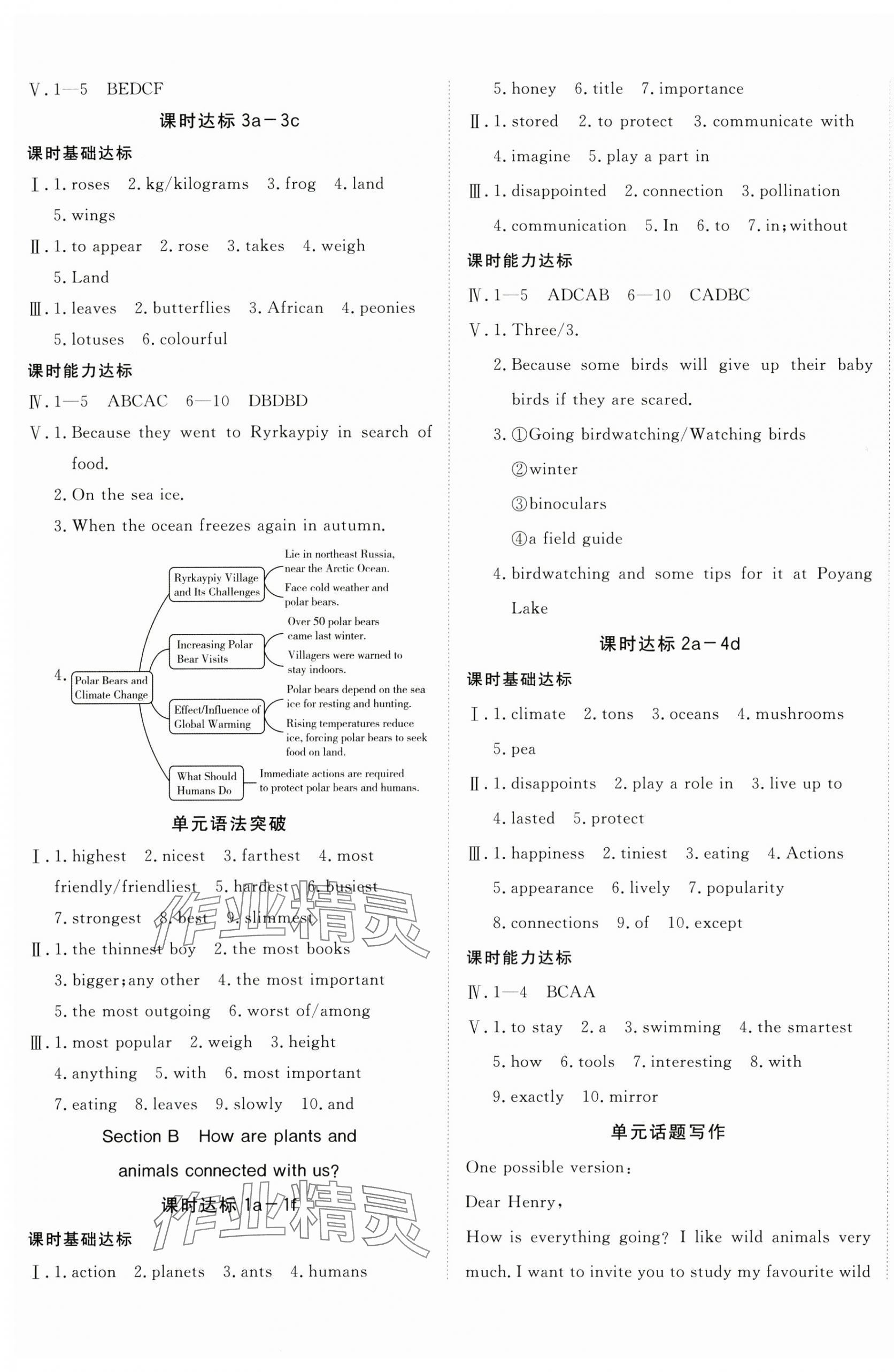 2025年同行学案学练测八年级英语上册人教版青岛专版 第5页