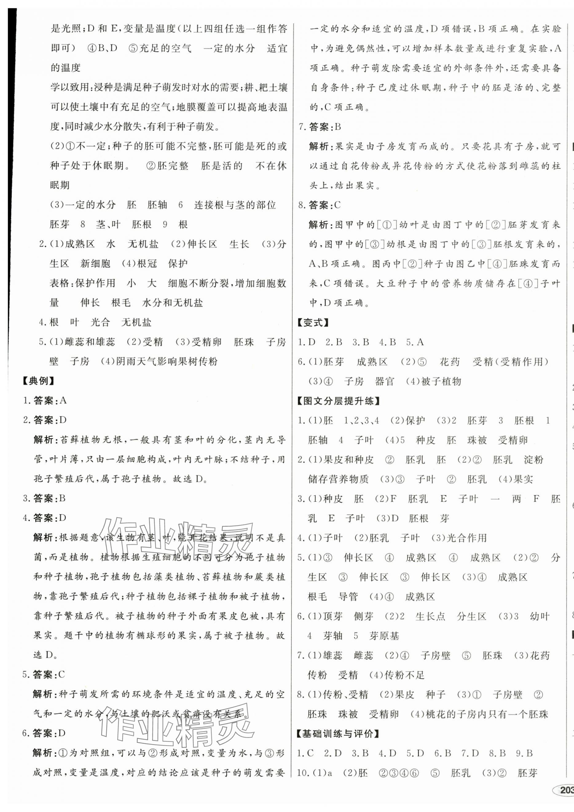 2025年中考檔案生物A版青島專版 第5頁