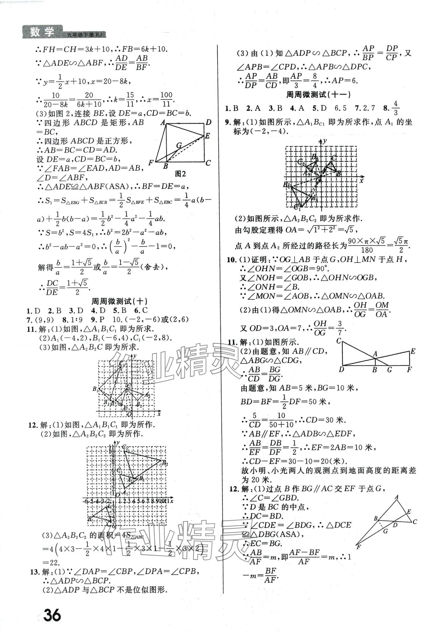 2024年一线调研学业测评九年级数学下册人教版 第4页