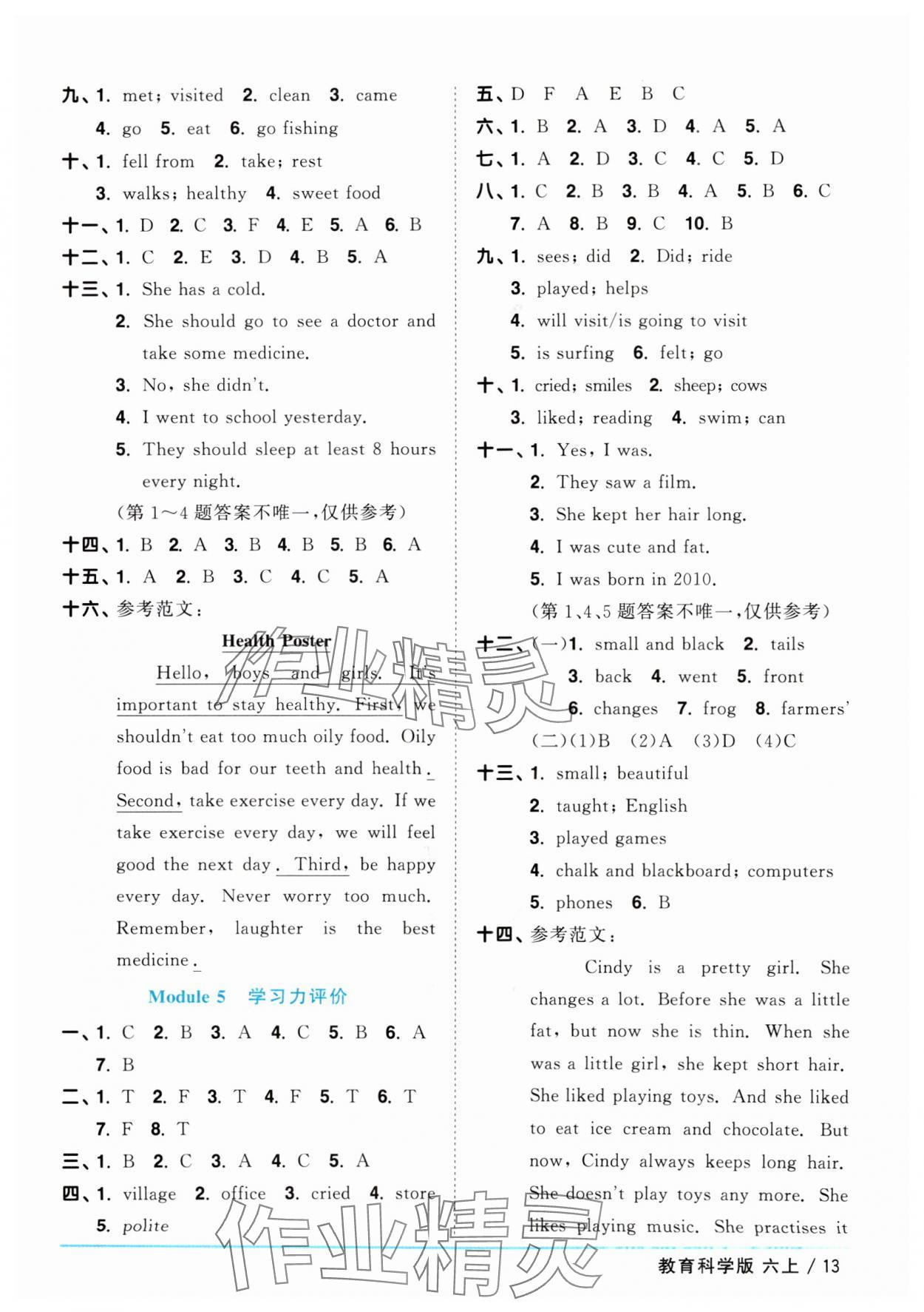2025年阳光同学课时优化作业六年级英语上册教科版广州专版 第13页