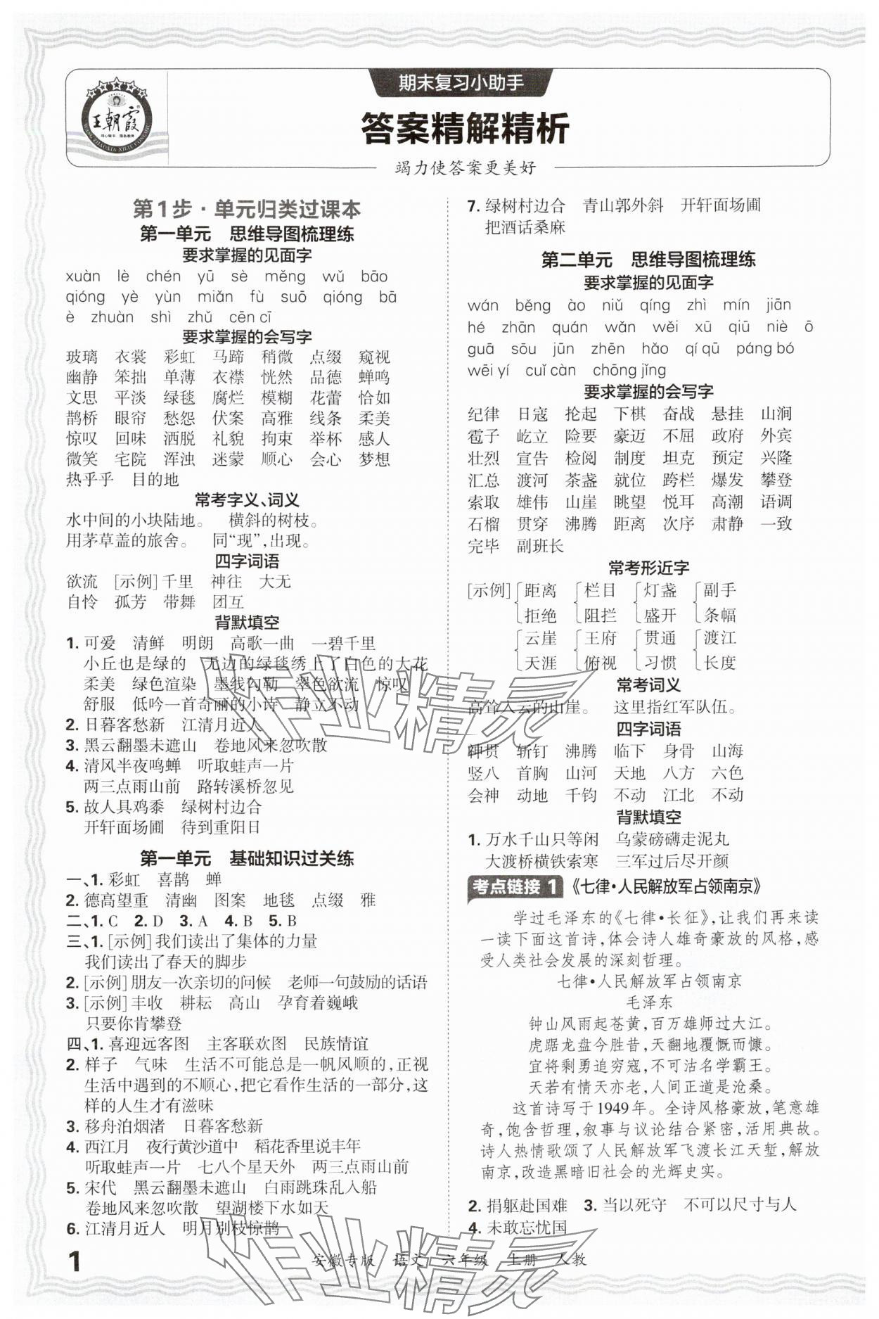 2024年王朝霞期末試卷研究六年級(jí)語(yǔ)文上冊(cè)人教版安徽專版 參考答案第1頁(yè)