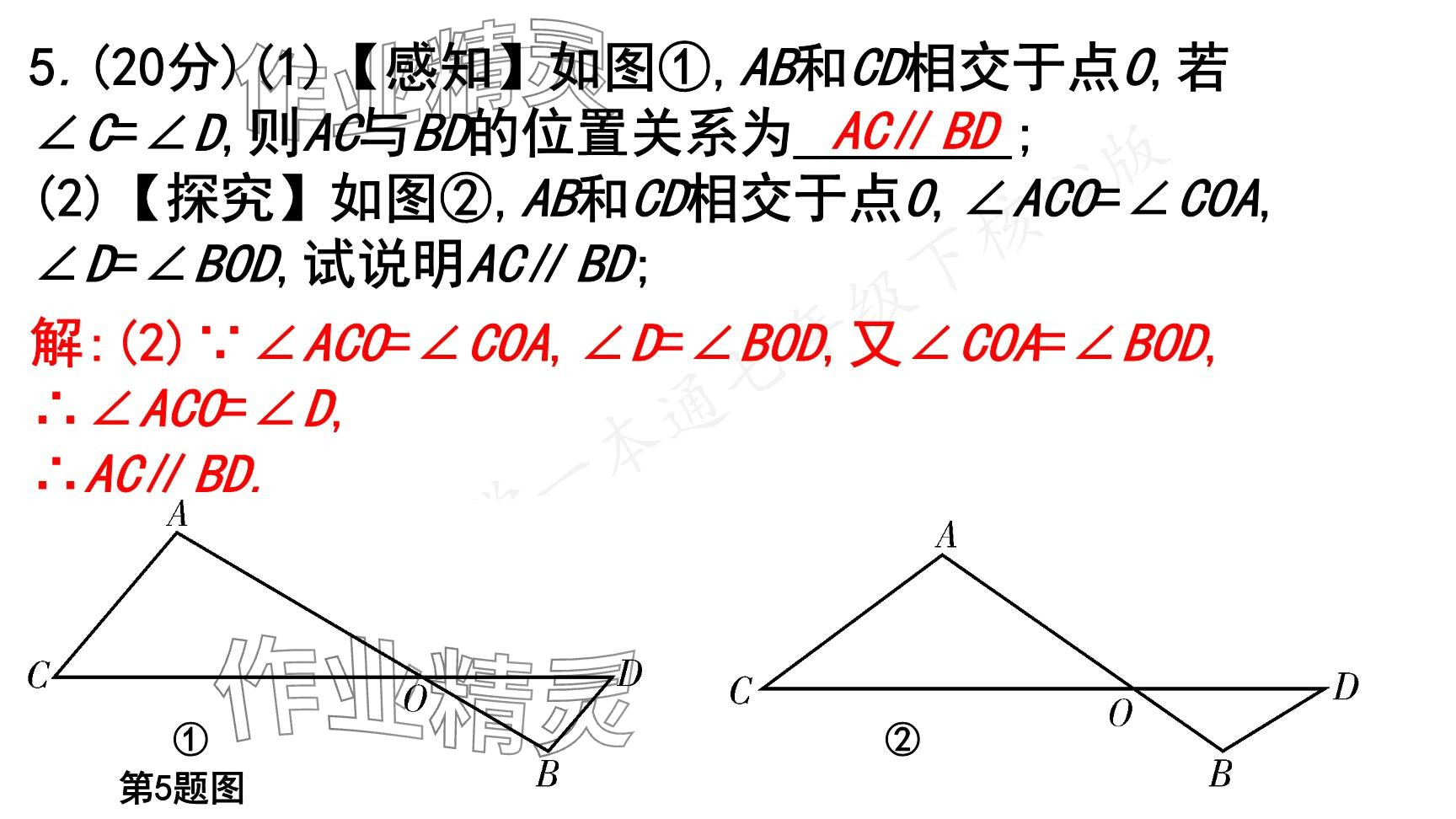 2025年一本通武漢出版社七年級數(shù)學下冊北師大版核心版 參考答案第109頁