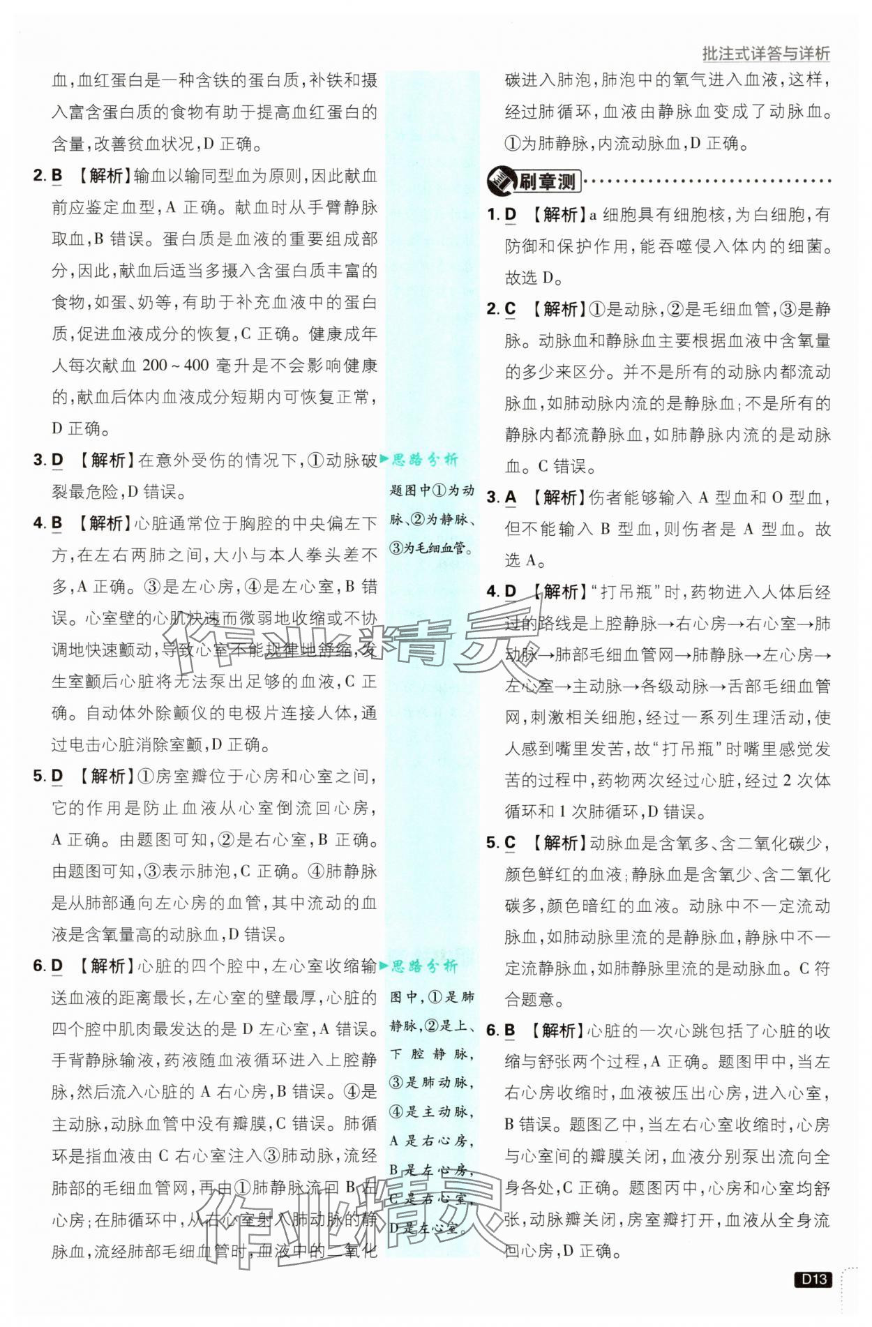 2025年初中必刷题八年级生物上册苏教版&nbsp;第13页
