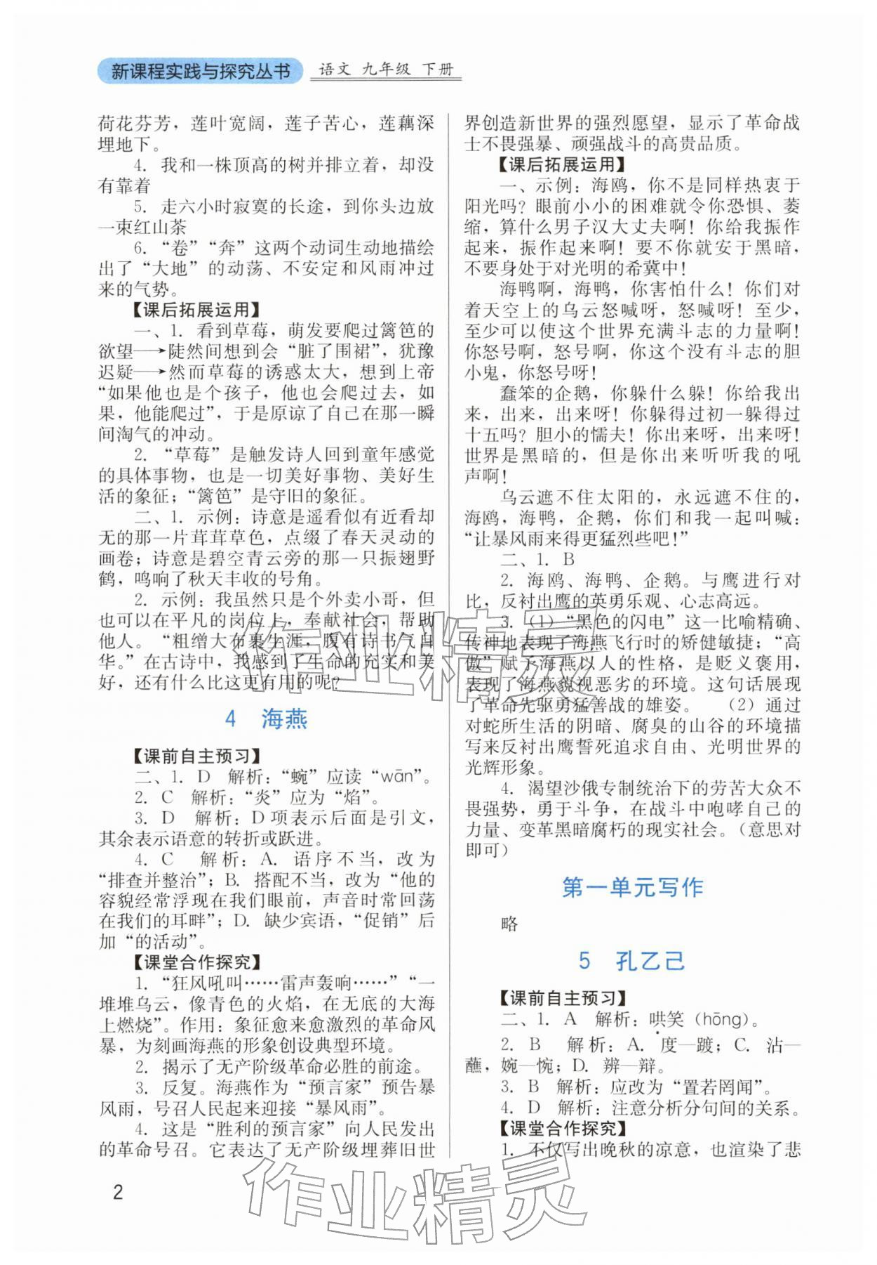 2026年新课程实践与探究丛书九年级语文下册人教版&nbsp;第2页