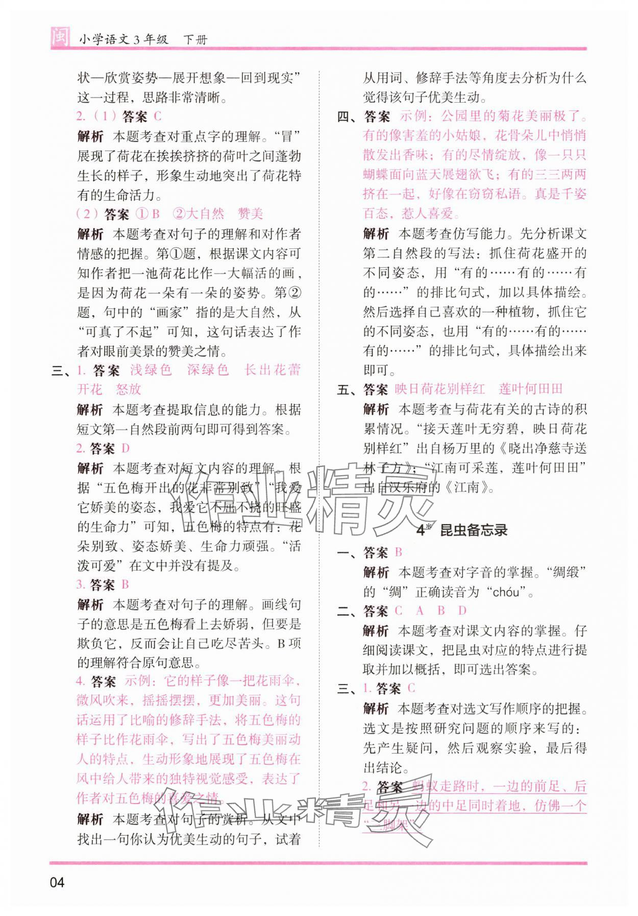 2025年木頭馬分層課課練三年級語文下冊人教版福建專版 第4頁
