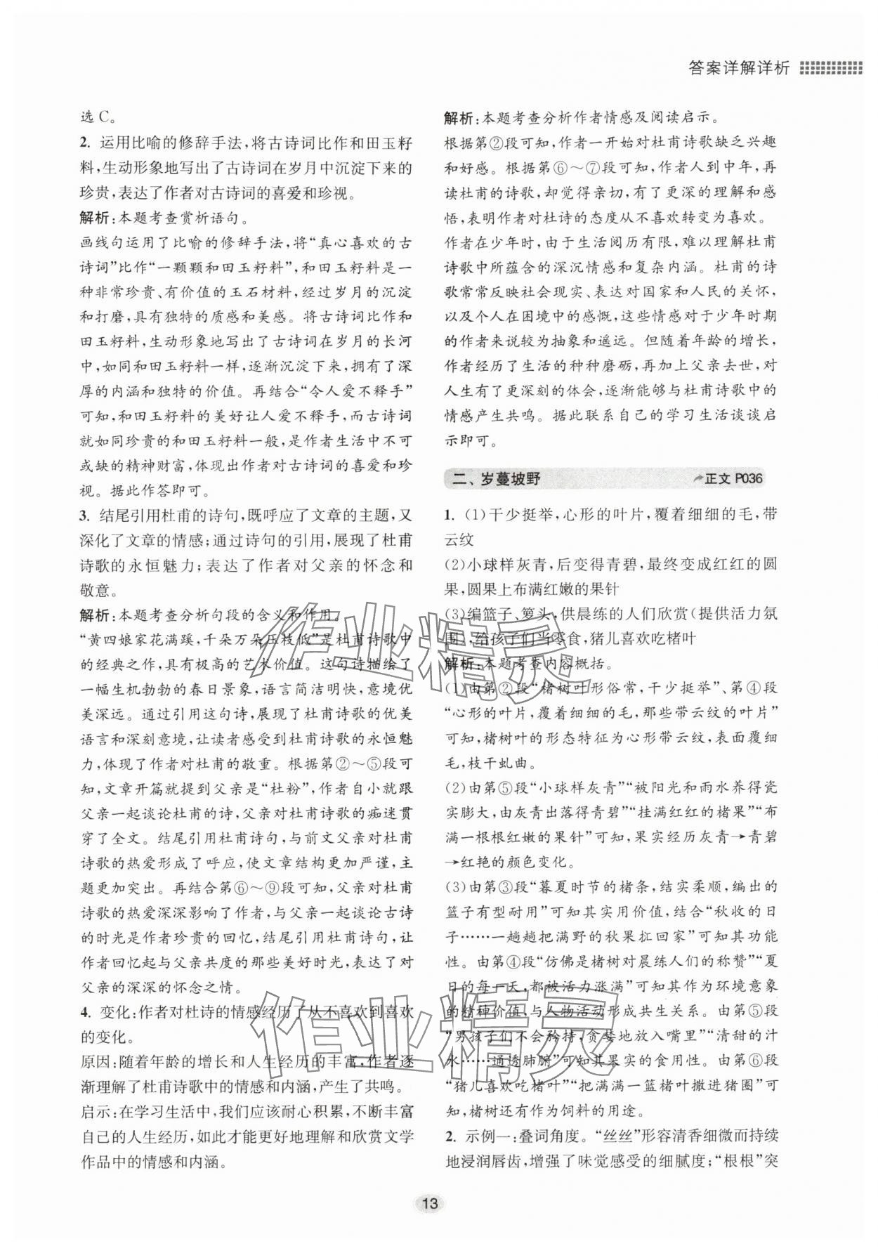 2025年初中现代文阅读专题集训九年级语文人教版&nbsp;第13页