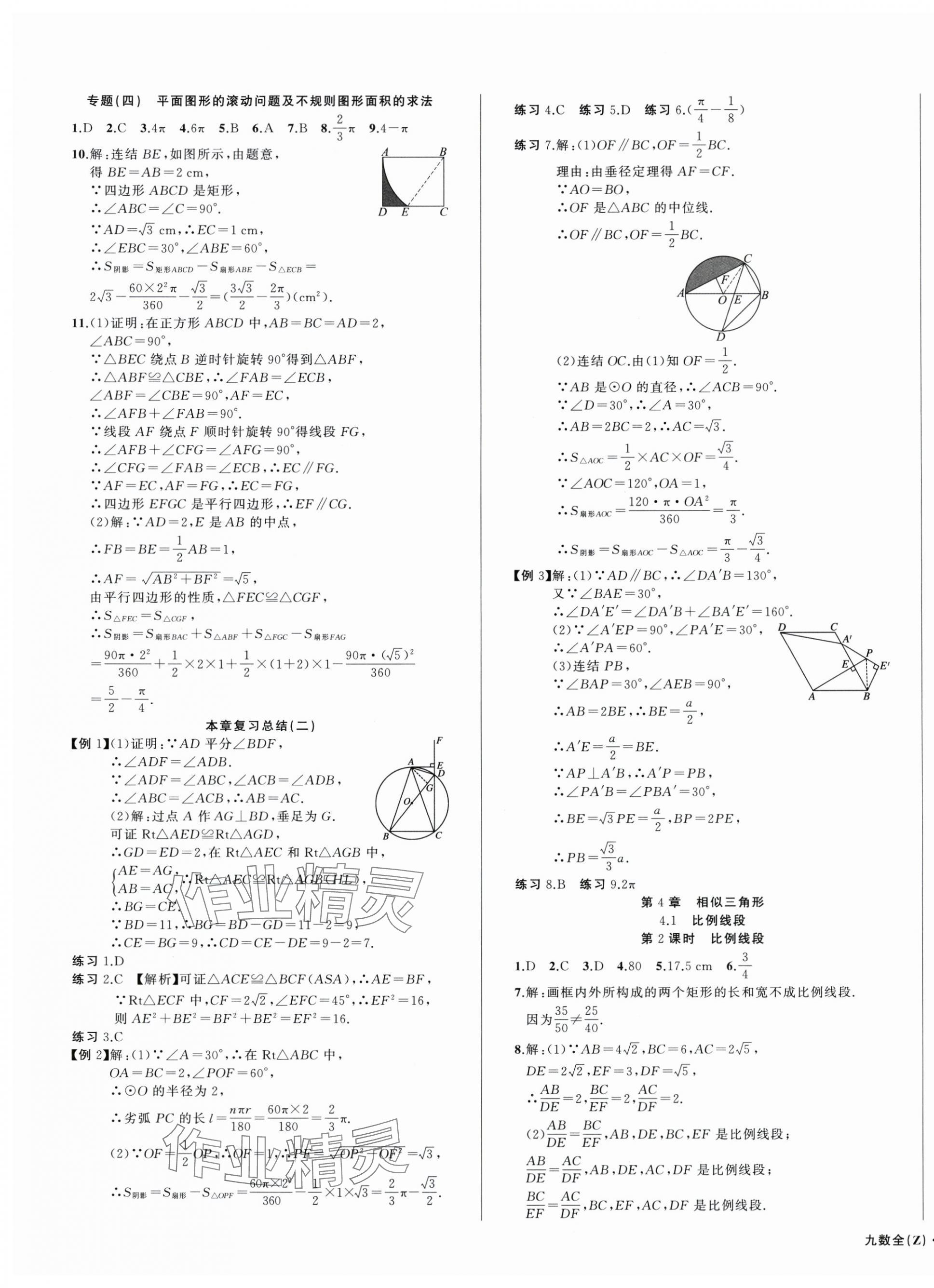 2025年名師面對面同步作業(yè)本九年級數(shù)學全一冊浙教版浙江專版 第7頁