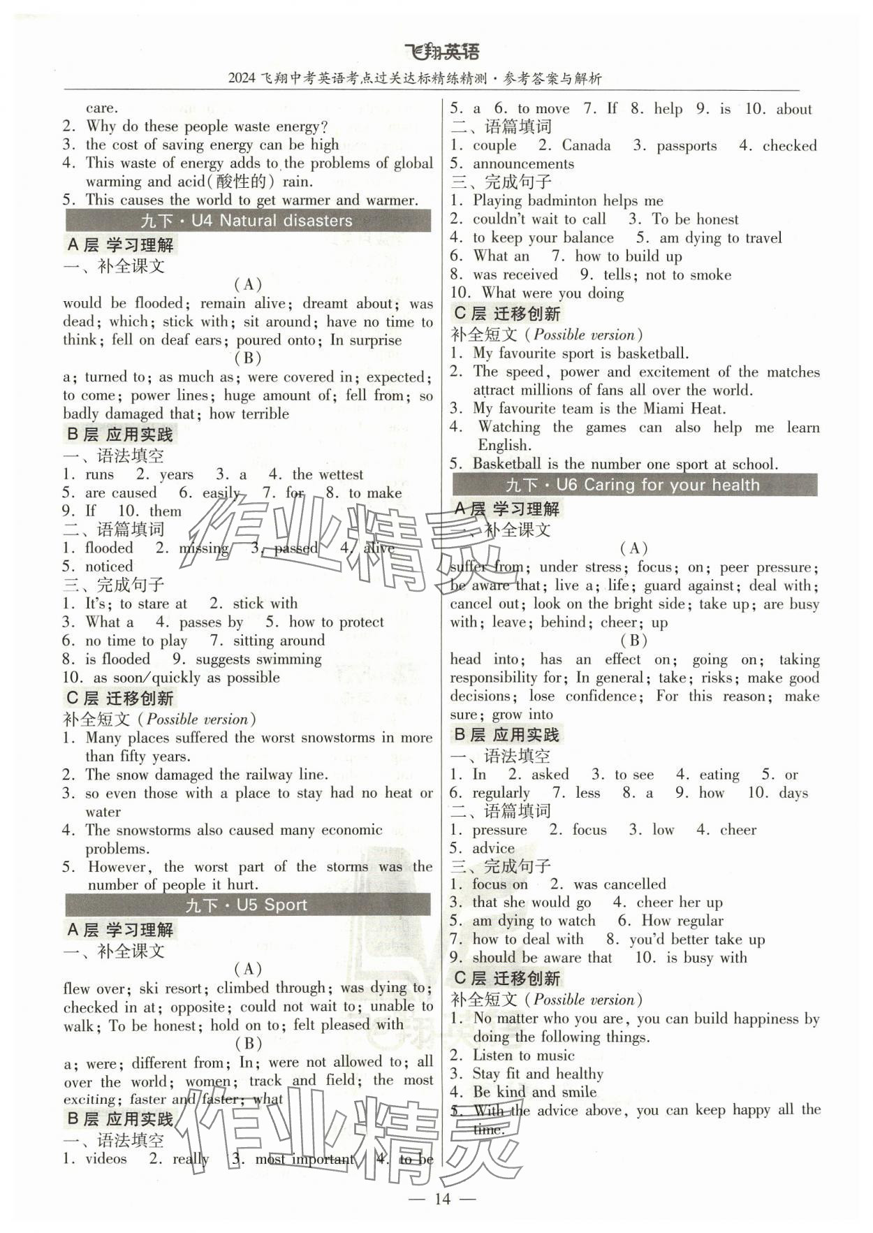 2024年飞翔英语中考广州专版&nbsp;参考答案第14页