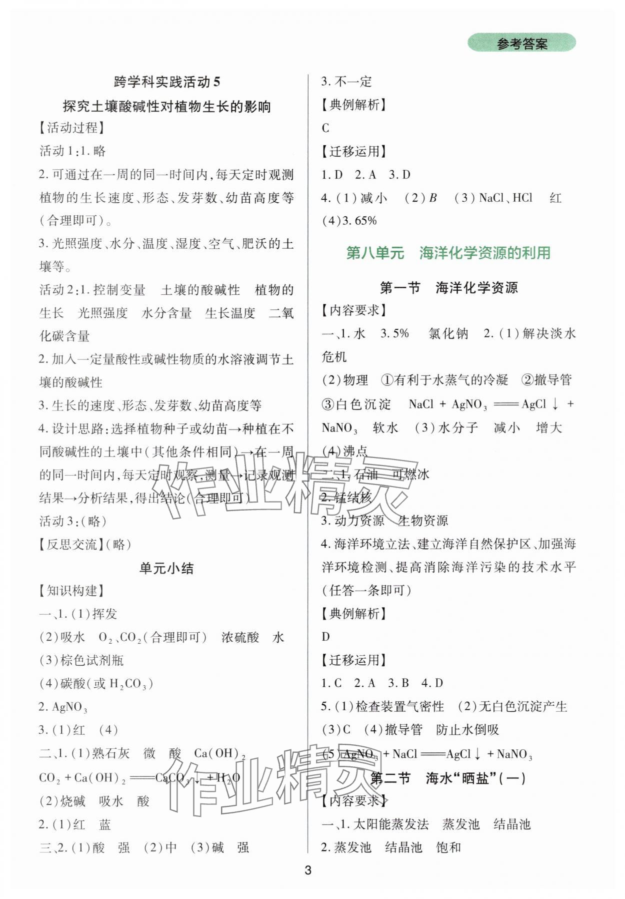 2025年新課程實踐與探究叢書九年級化學(xué)下冊魯教版 第3頁