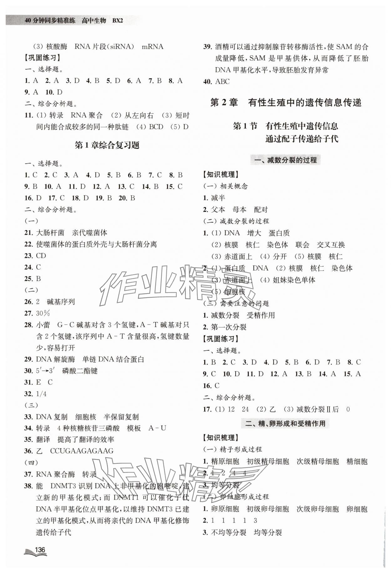 2025年40分鐘同步精準練高中生物必修2滬教版 參考答案第3頁