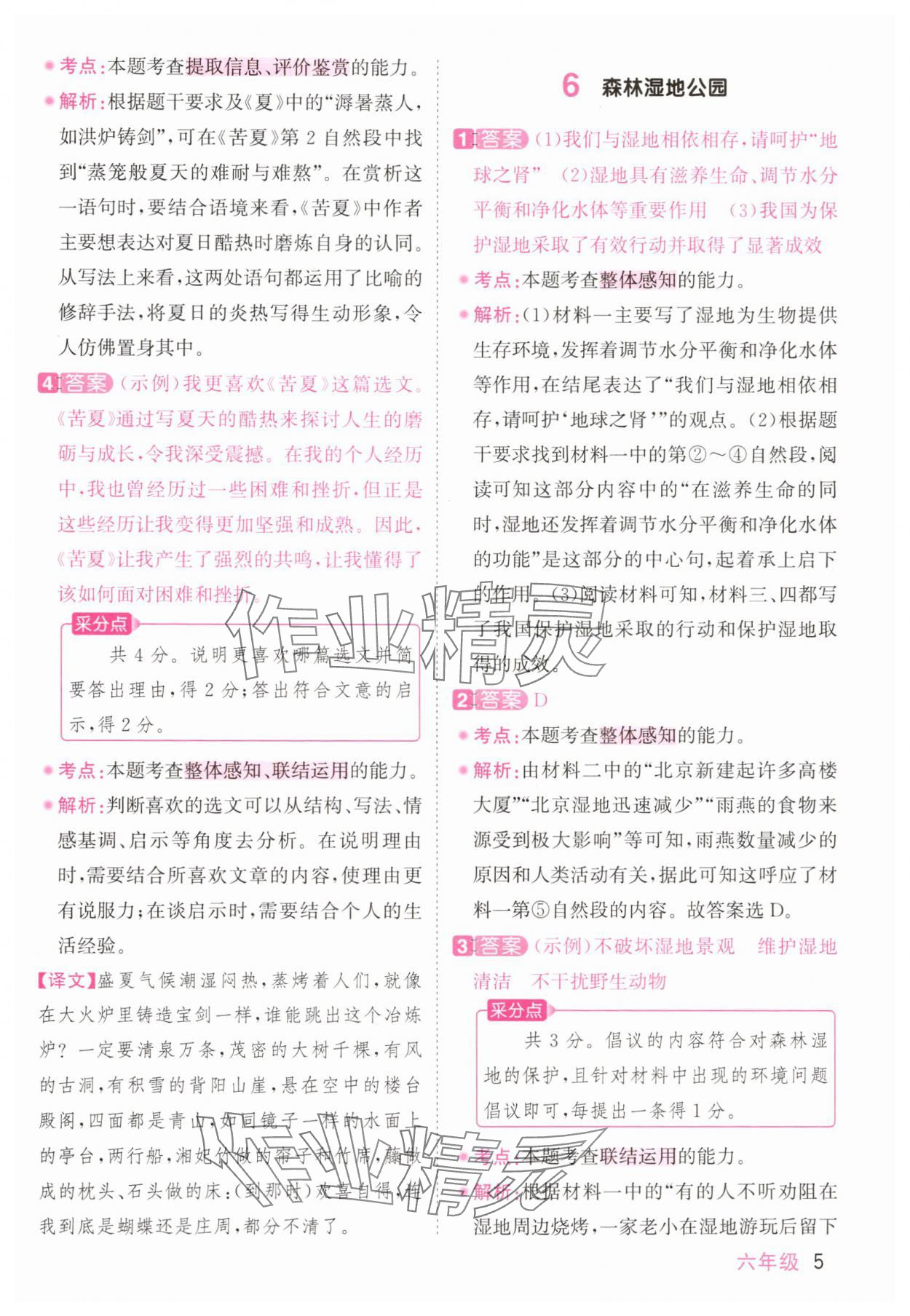 2025年陽(yáng)光同學(xué)同步閱讀素養(yǎng)測(cè)試六年級(jí)語(yǔ)文上冊(cè)人教版 參考答案第5頁(yè)