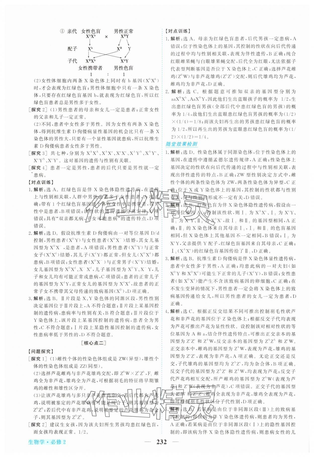 2025年新坐標(biāo)同步練習(xí)高中生物必修2人教版 參考答案第11頁