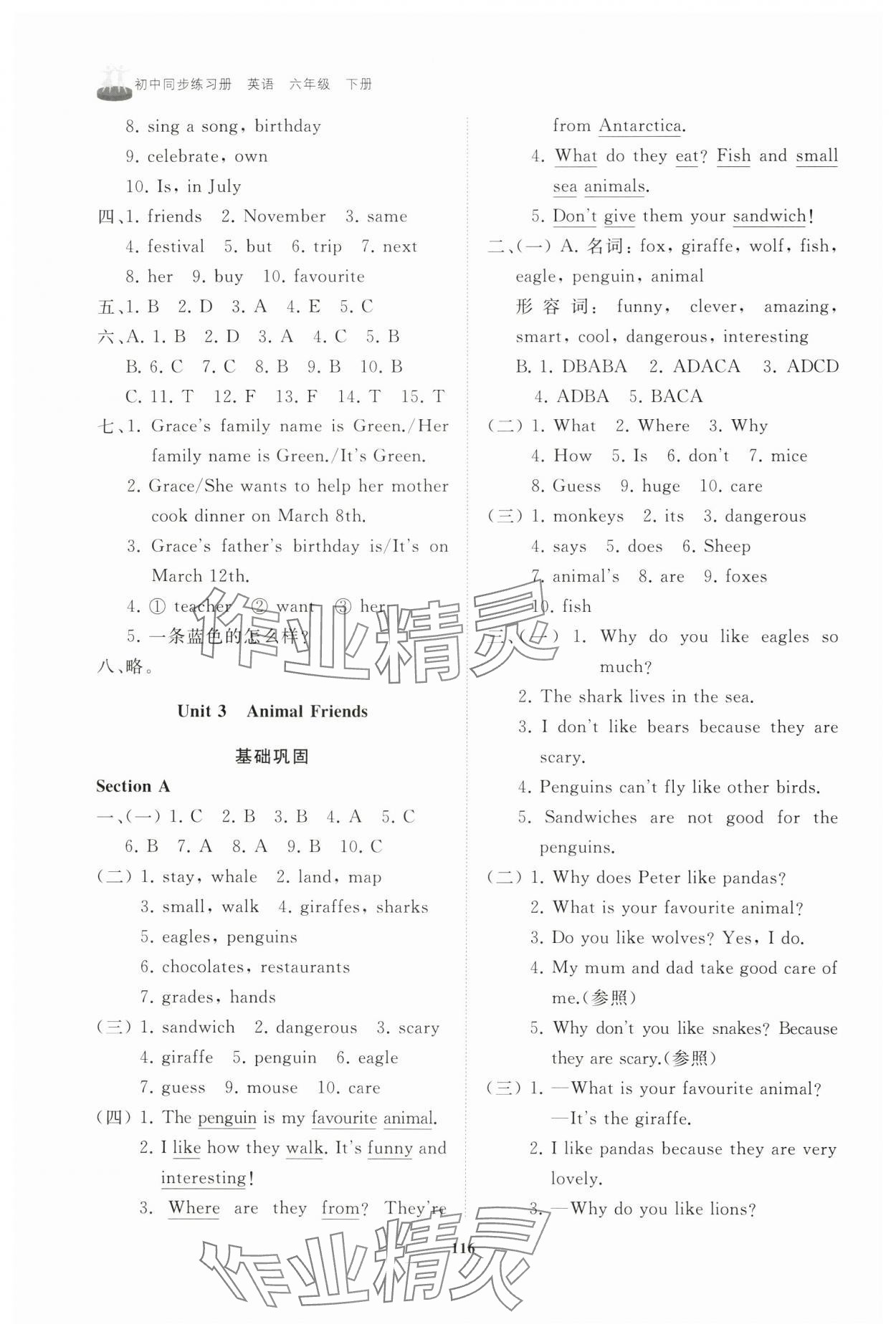 2025年同步練習(xí)冊(cè)山東友誼出版社六年級(jí)英語下冊(cè)魯教版五四制 第6頁