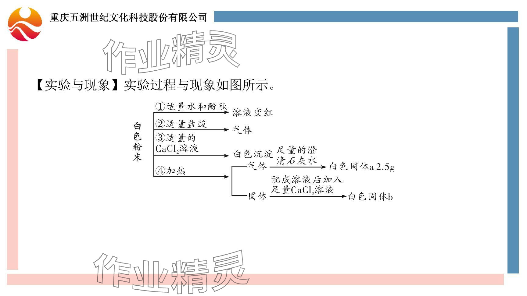 2024年重慶市中考試題分析與復(fù)習(xí)指導(dǎo)化學(xué) 參考答案第96頁