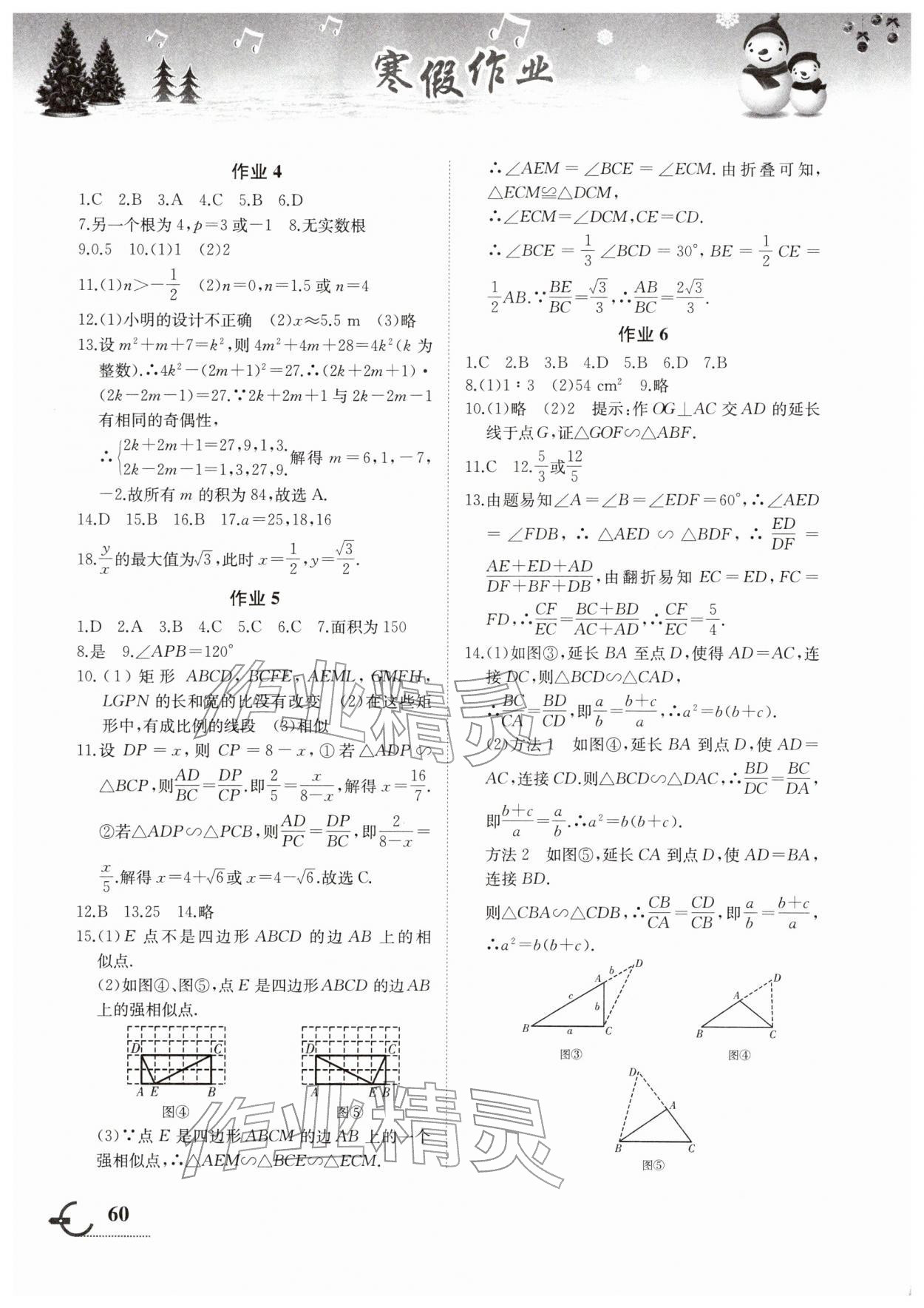 2026年寒假作业九年级数学湖南教育出版社&nbsp;第2页