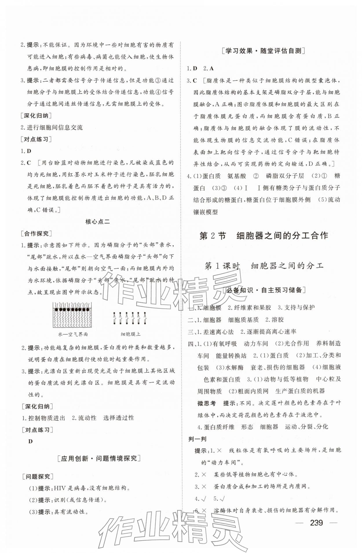 2025年同步练习册大象出版社高中生物必修第一册人教版A&nbsp;参考答案第9页