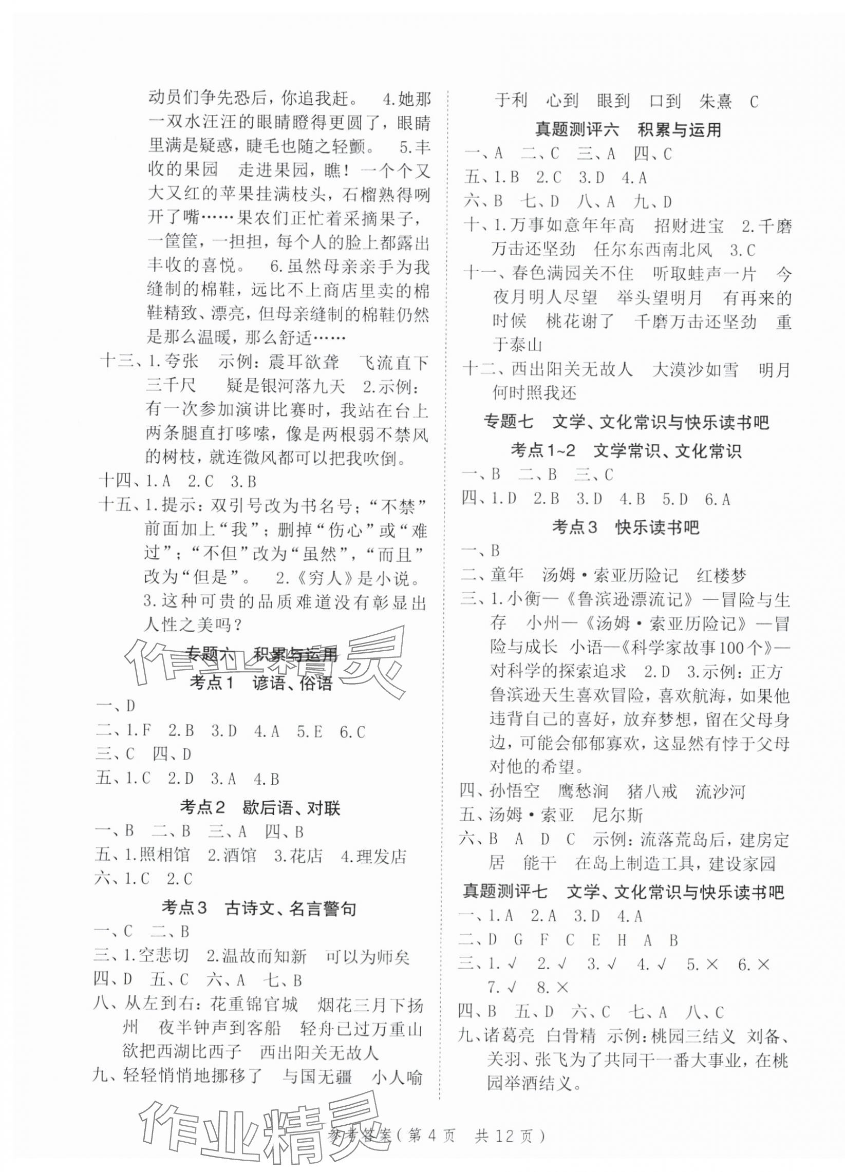 2025年优翼小学总复习语文安徽专版 第4页
