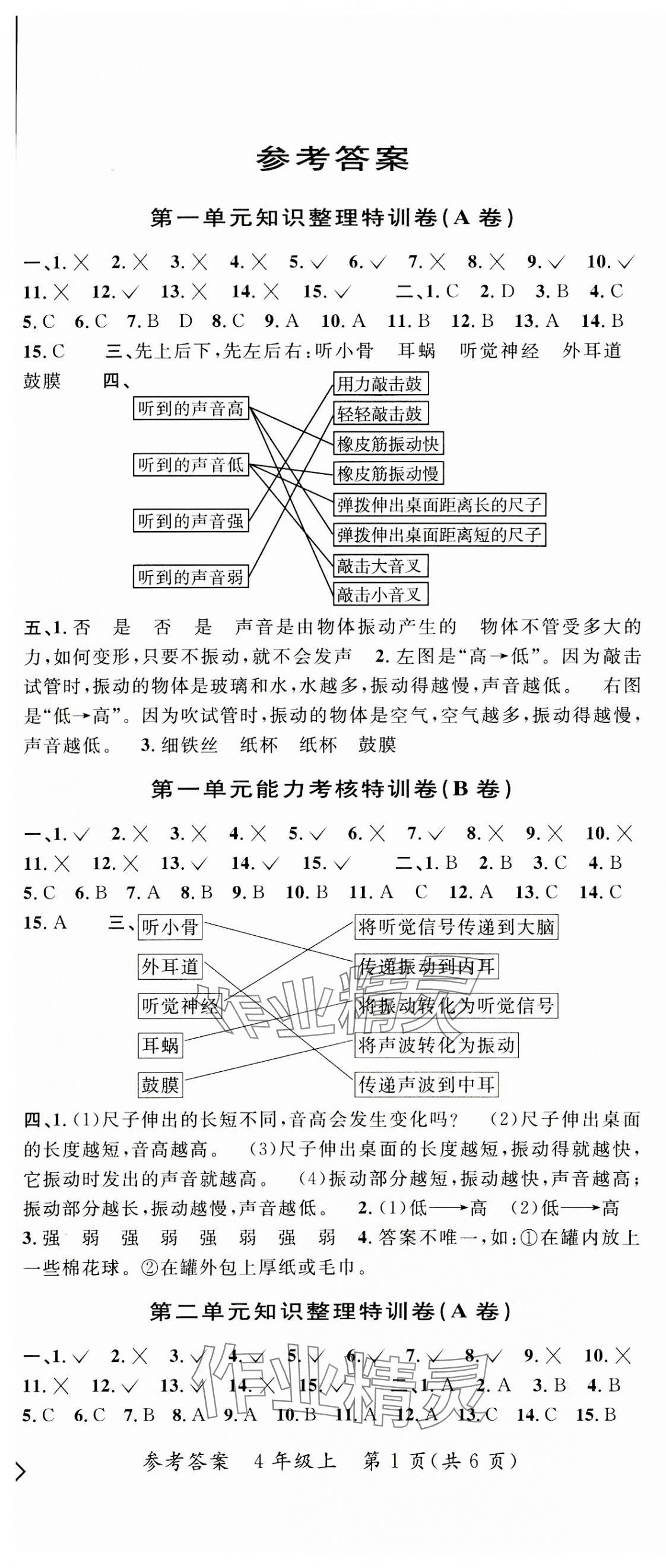 2023年特训卷四年级科学上册教科版 第1页