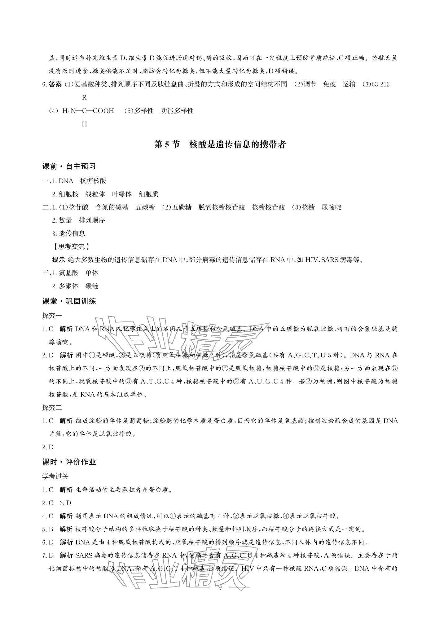 2025年同步练习册生物学必修1分子与细胞人教版人民教育出版社 第9页