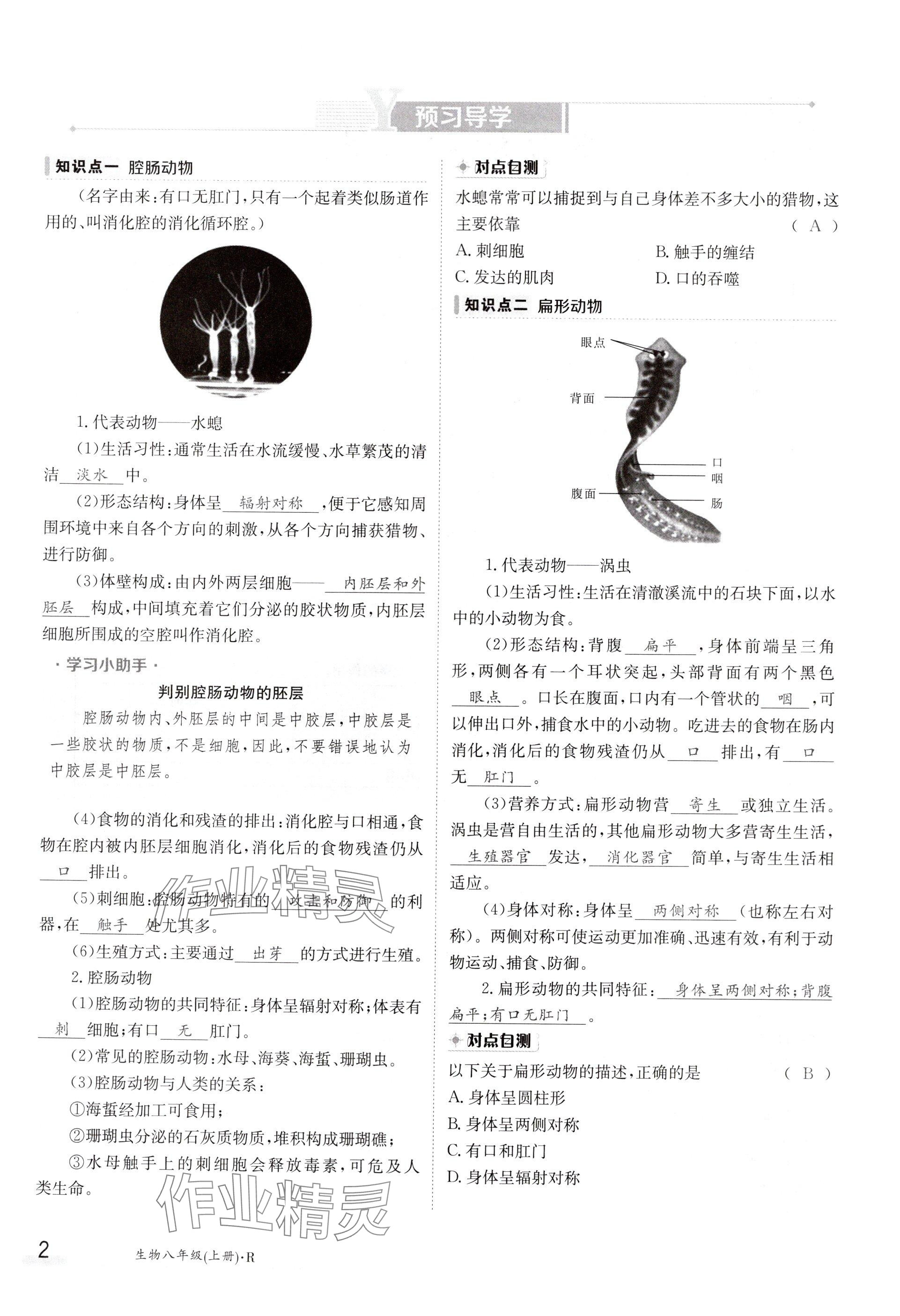 2024年金太阳导学案八年级生物上册人教版 参考答案第2页