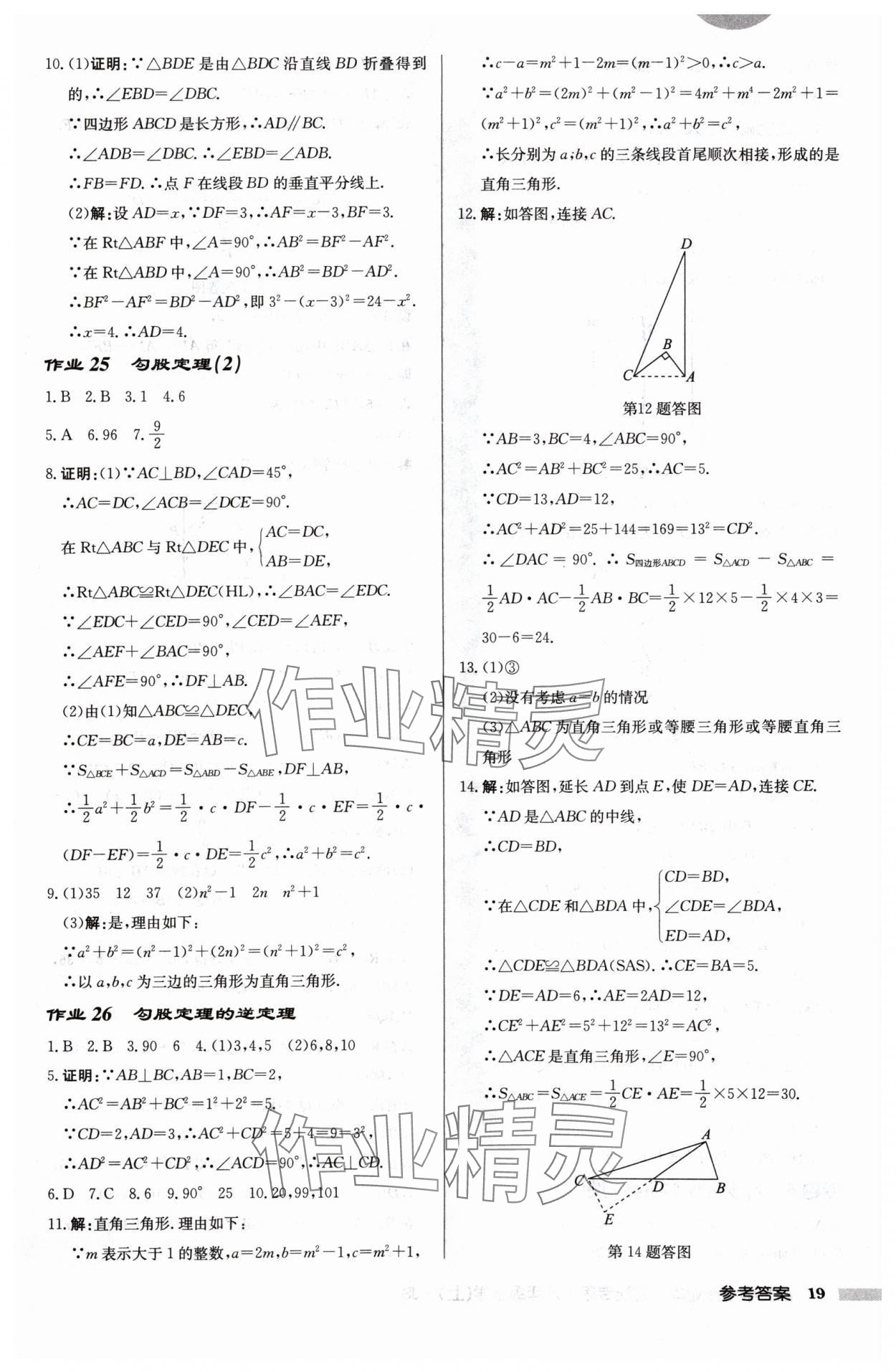 2024年启东中学作业本八年级数学上册江苏版宿迁专版 第19页