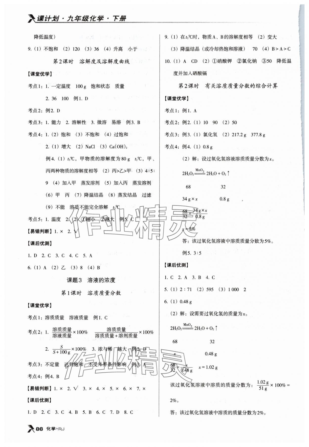 2024年全優(yōu)點(diǎn)練課計(jì)劃九年級化學(xué)下冊人教版 第4頁