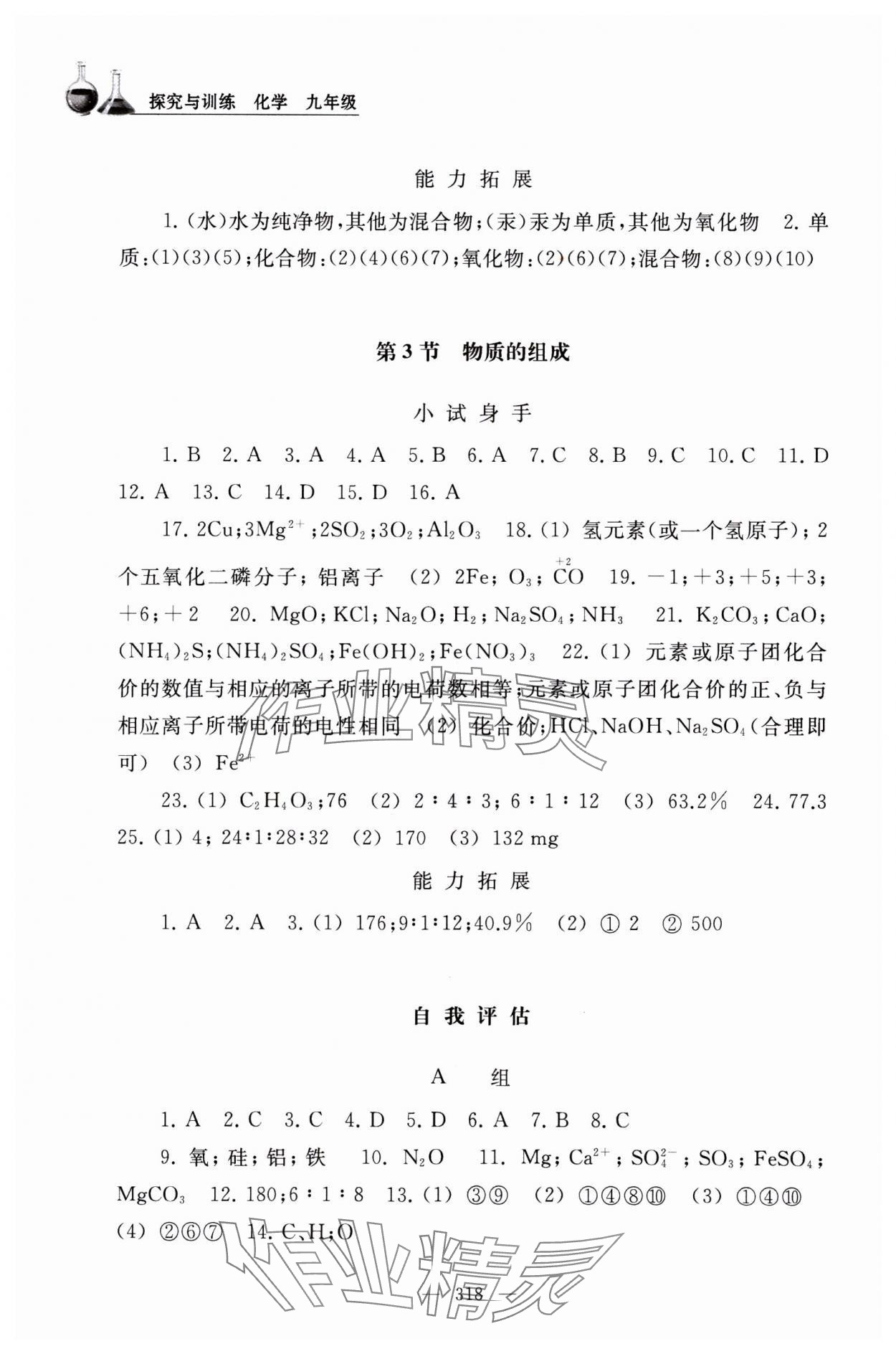 2023年探究与训练九年级化学全一册沪教版 参考答案第9页