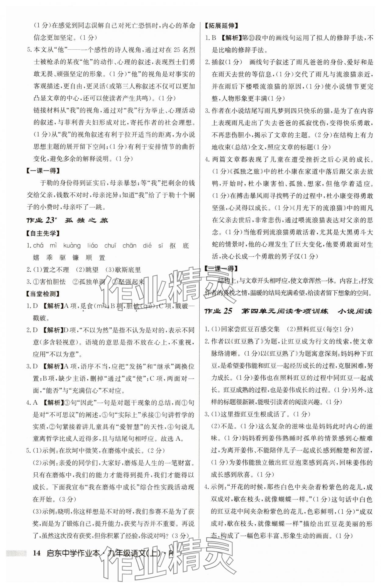 2025年啟東中學(xué)作業(yè)本九年級(jí)語(yǔ)文上冊(cè)人教版 第14頁(yè)