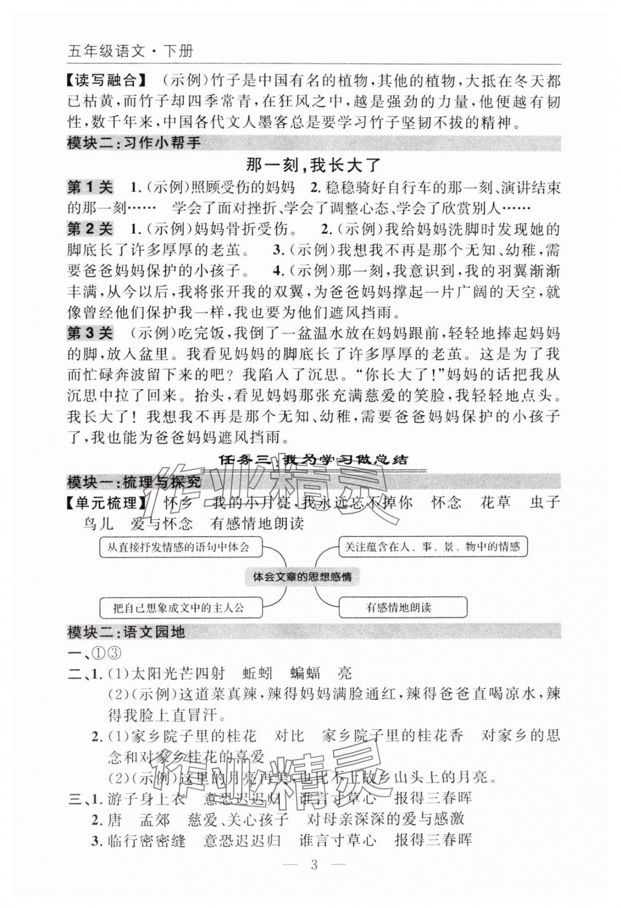 2025年优质课堂快乐成长五年级语文下册人教版 参考答案第3页