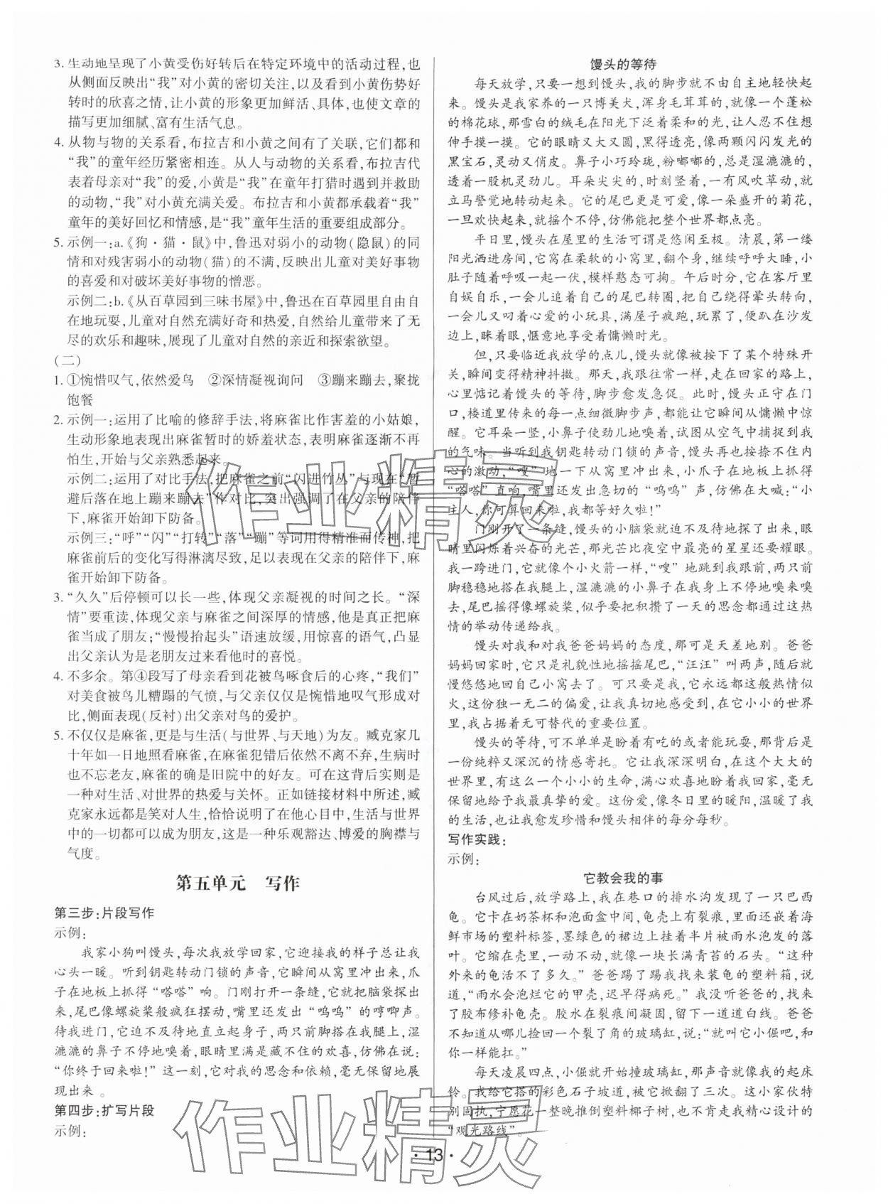 2025年基础精练七年级语文上册人教版深圳专版 第13页