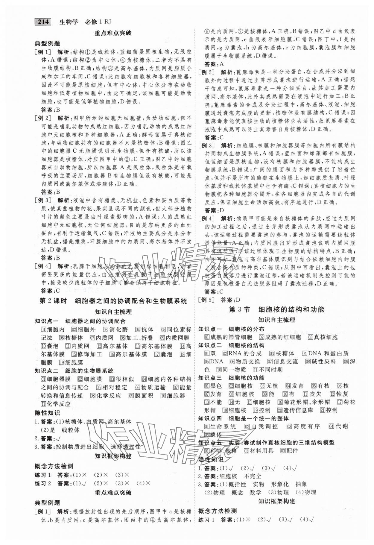 2025年金版教程高中新课程创新导学案高中生物必修1人教版 第5页