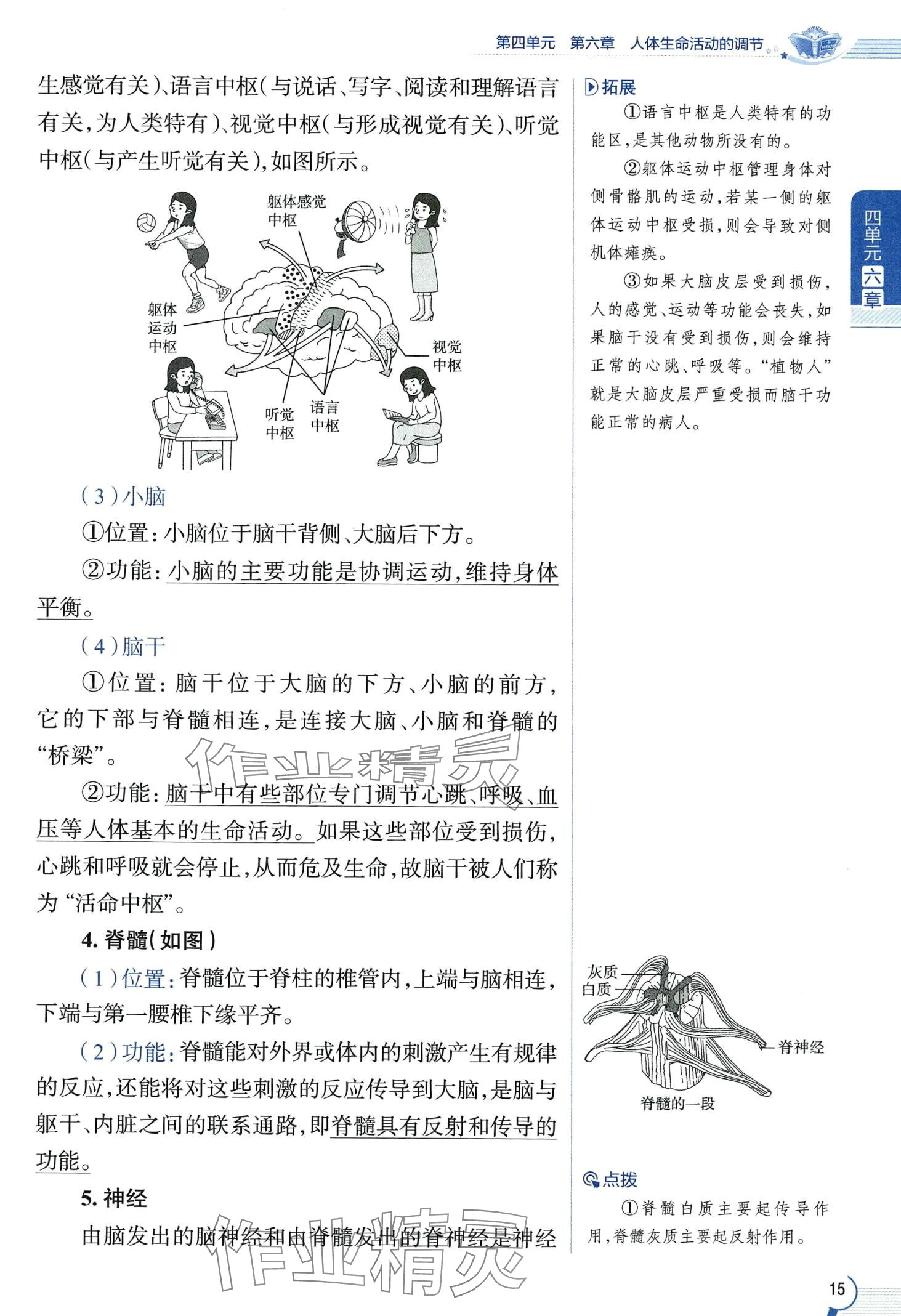 2024年教材课本七年级生物下册鲁科版&nbsp;第15页
