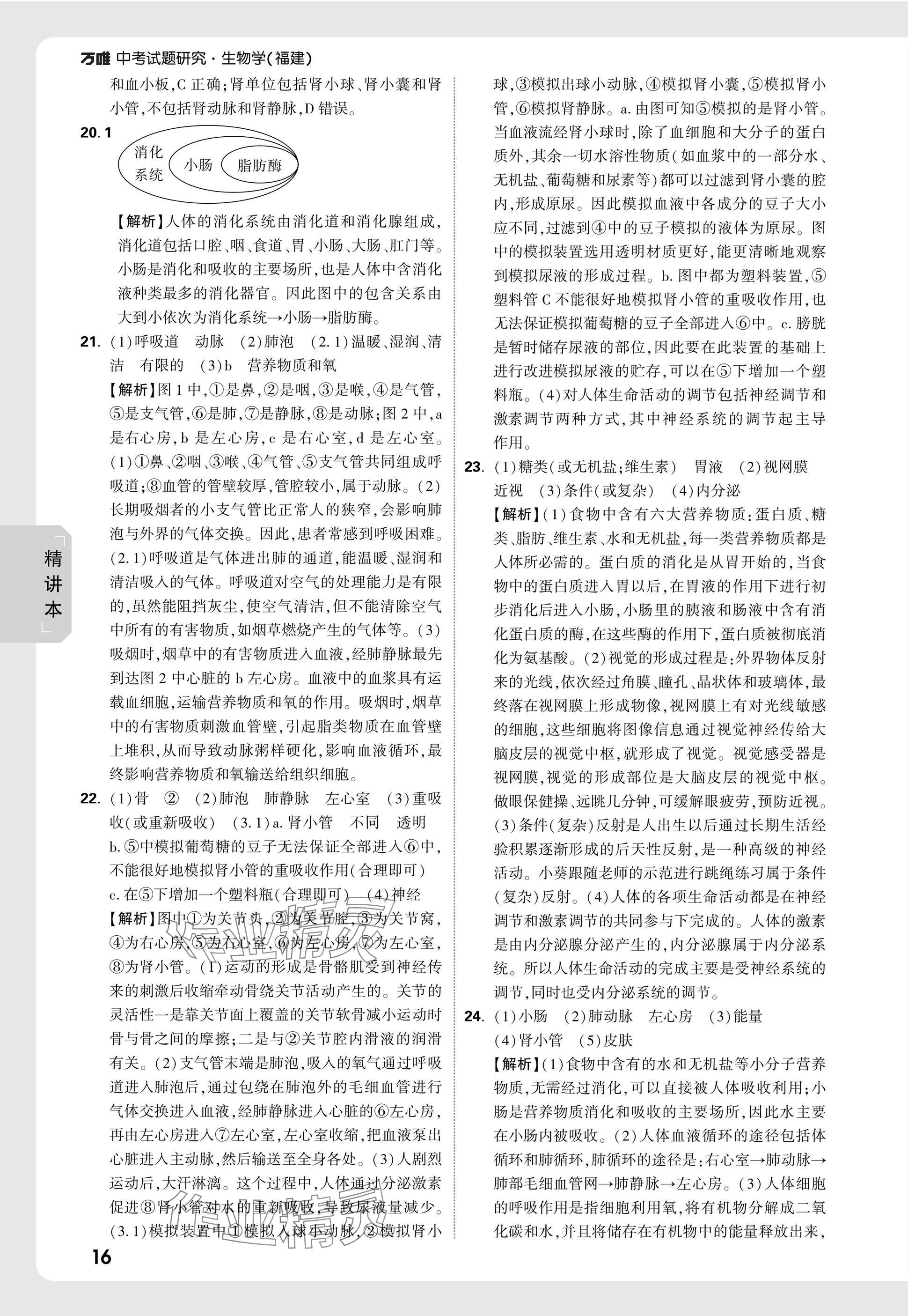 2025年萬唯中考試題研究生物福建專版 參考答案第16頁