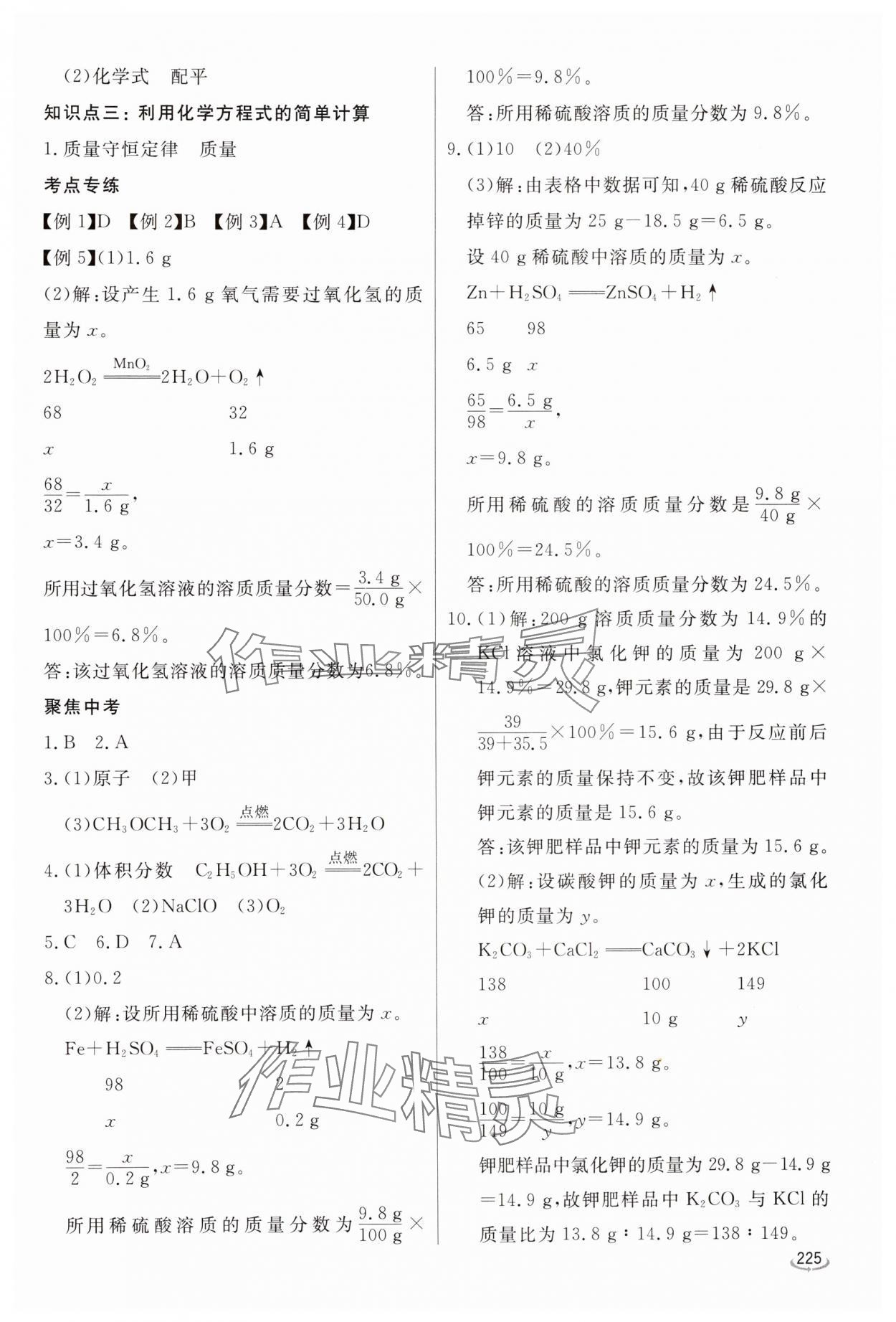2025年初中學(xué)業(yè)水平考試備考指導(dǎo)化學(xué)中考臨沂專版&nbsp;參考答案第6頁