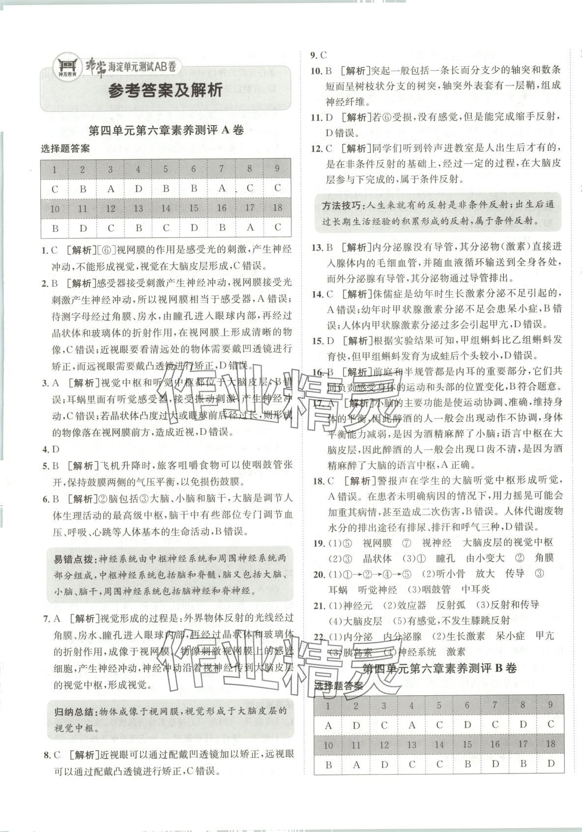 2025年海淀單元測試AB卷七年級生物下冊魯科版 第1頁