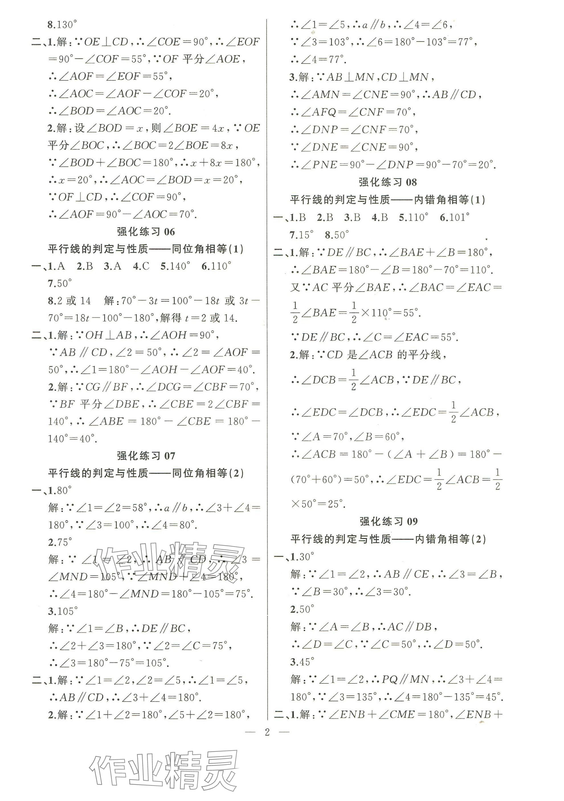 2025年高手點題計算攻略七年級數學下冊人教版 參考答案第2頁