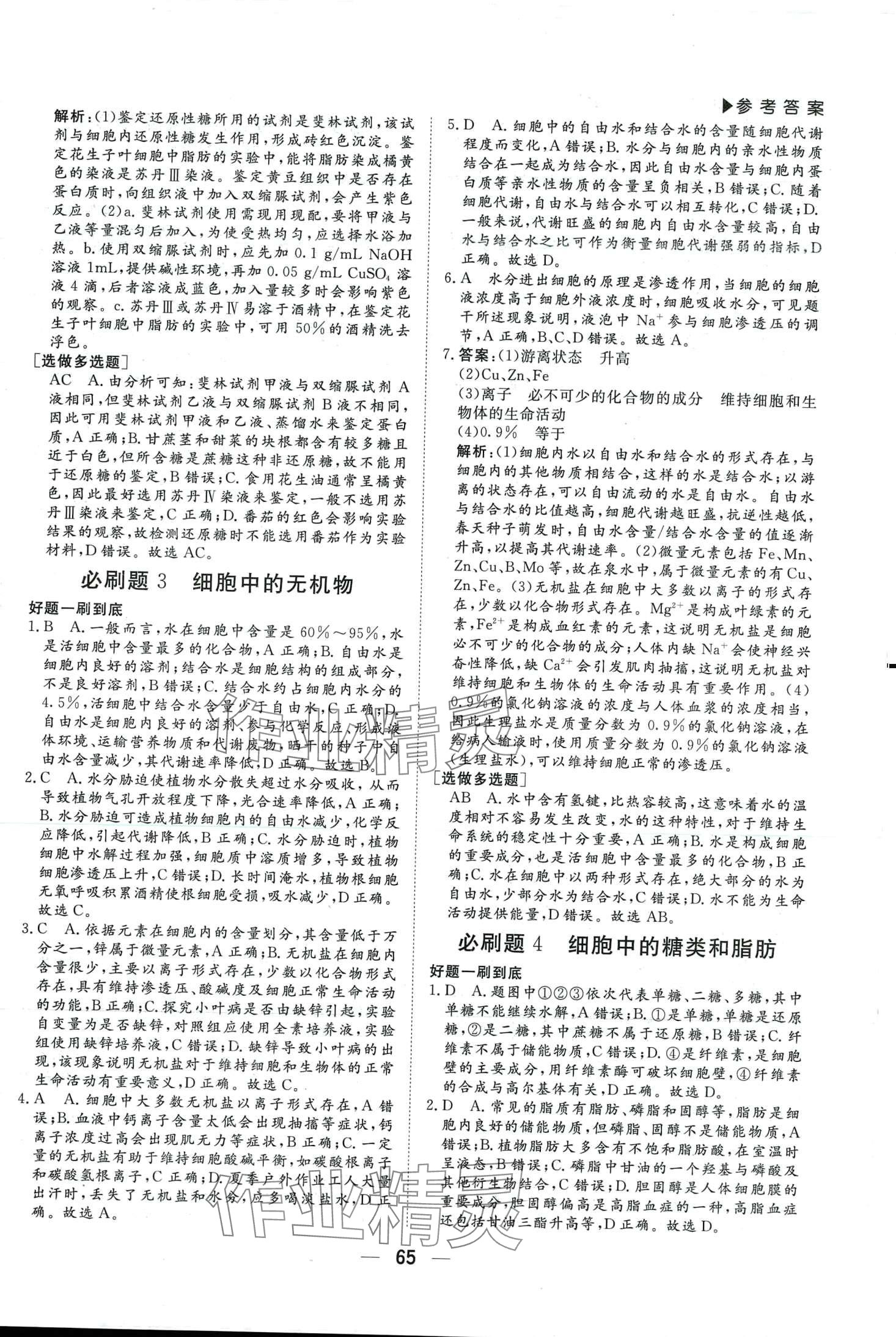 2024年優(yōu)選課堂必刷題高一生物學 第2頁